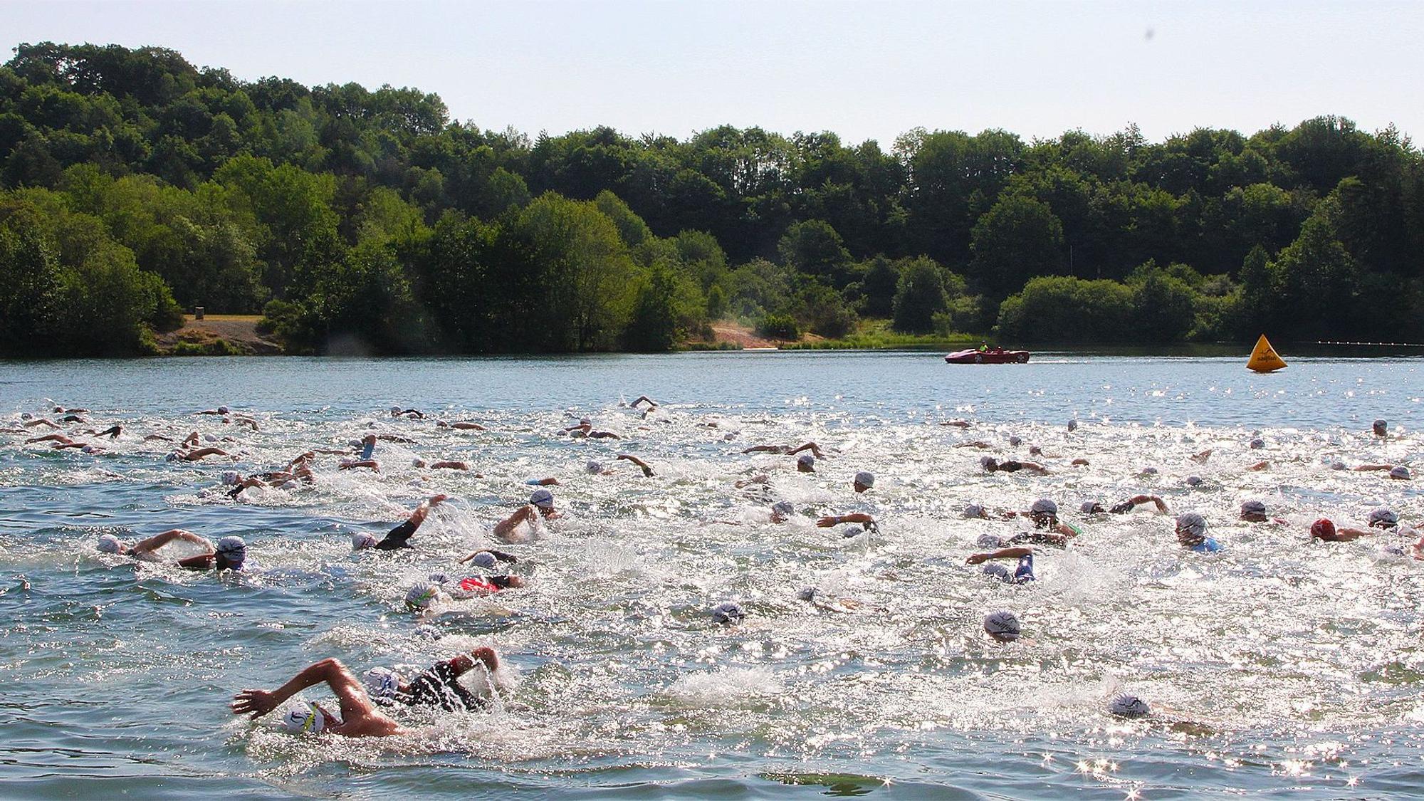 Das Starterfeld durchschwimmt den idyllisch gelegenen Freilinger See mit seinem bewaldeten Ufer.