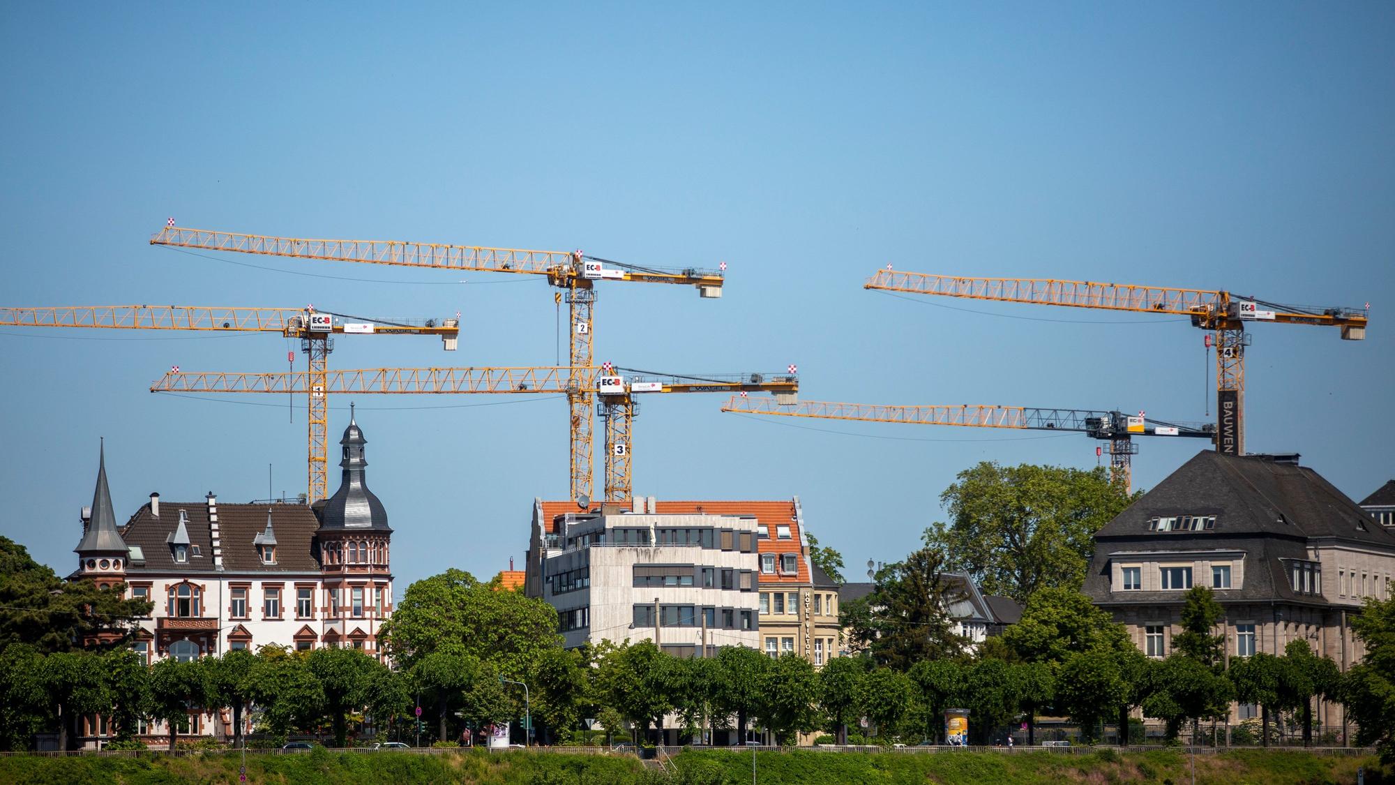 NRW
Blick auf Baukräne vom Deutzer Rheinufer