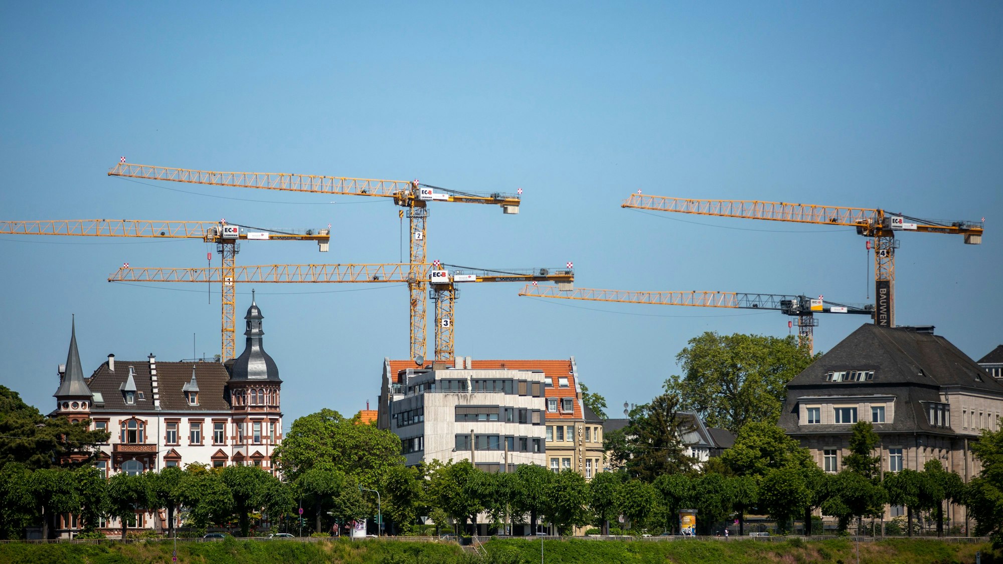 NRW
Blick auf Baukräne vom Deutzer Rheinufer