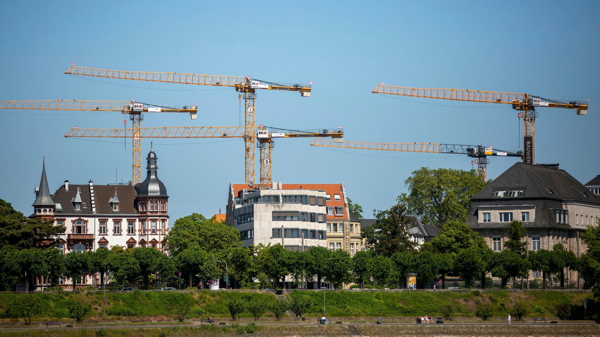 Vom Deutzer Rheinufer aus ist das Kranballett auf dem Baugebiet Viva Agrippina an der Riehler Straße zu beobachten.