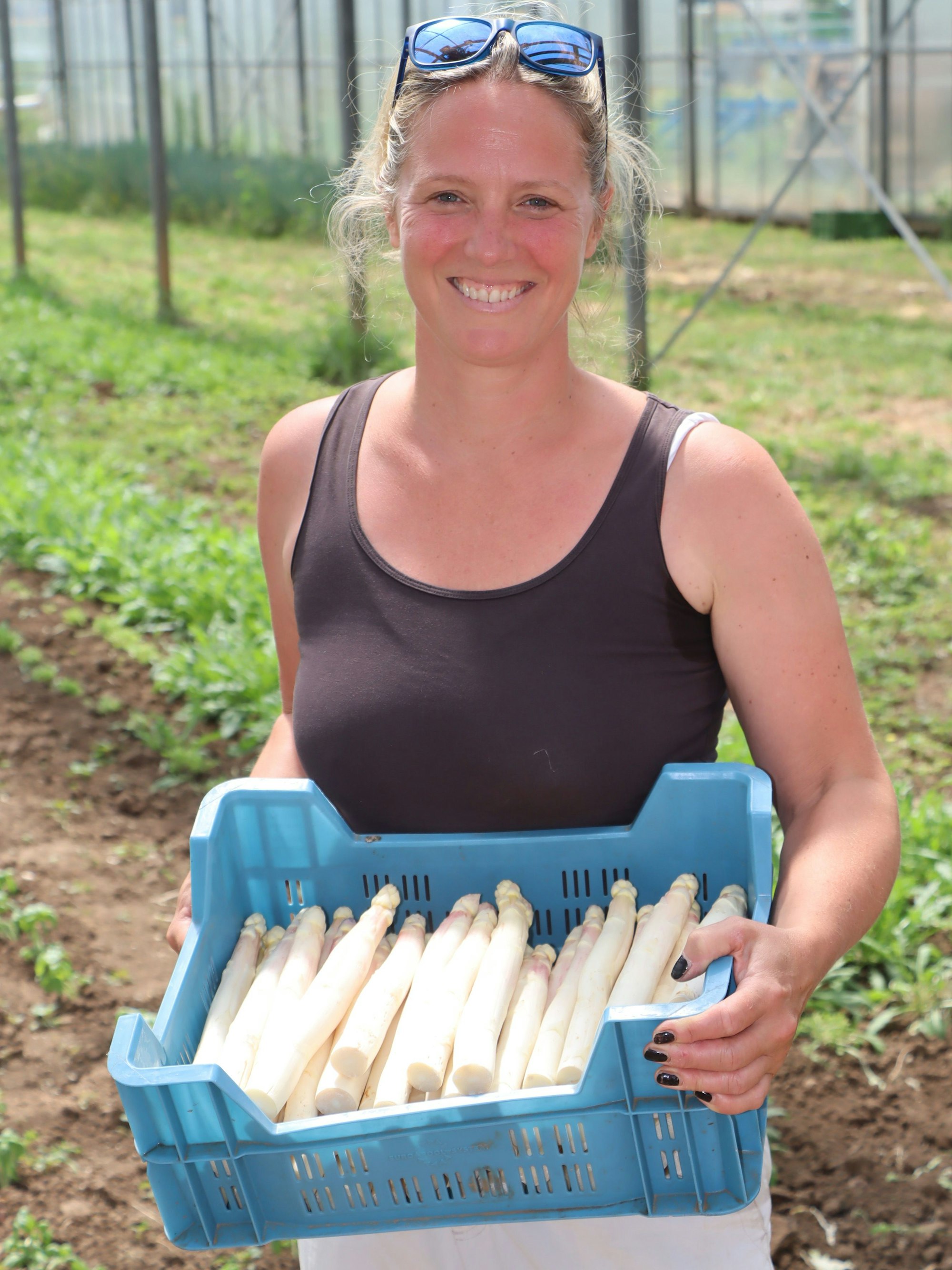 In dieser Woche gibt es auf dem Gemüsehof Steiger bei Margarete Ribbecke noch frischen Bornheimer Spargel.