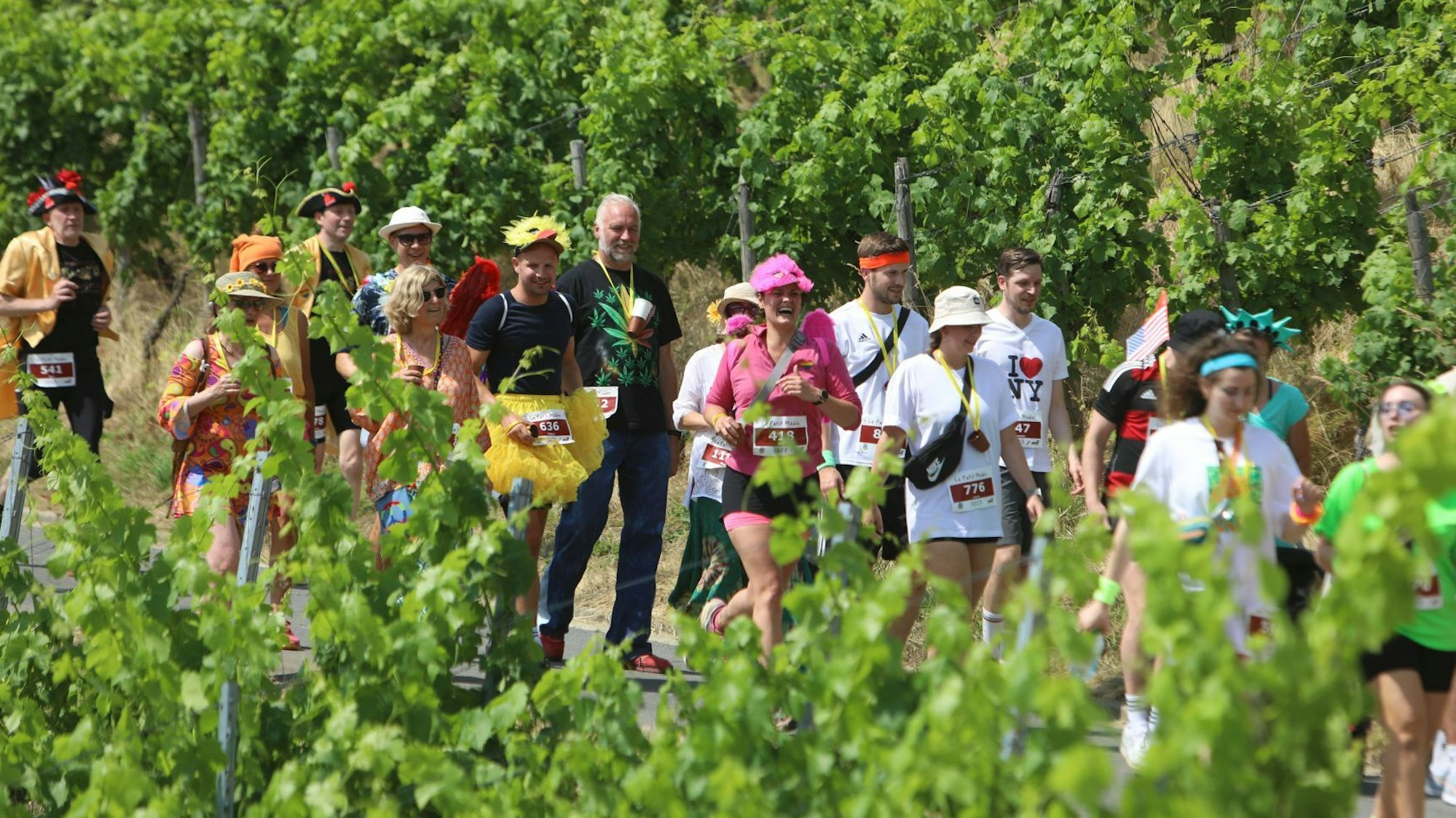 Viele Menschen laufen kostümiert vorbei an den grünen Weinstöcken.