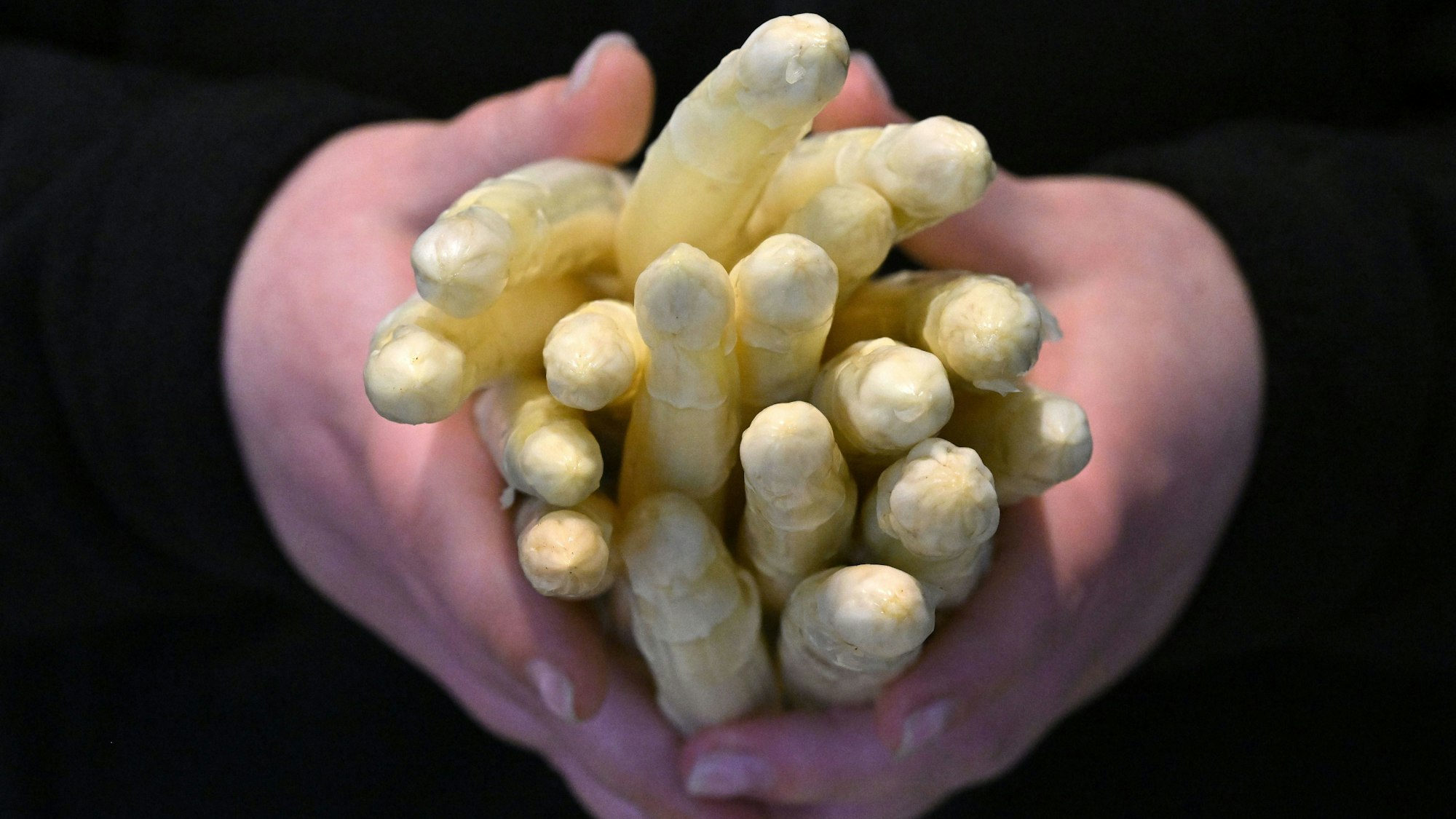 Eine Handvoll Spargel aus einem Hofladen