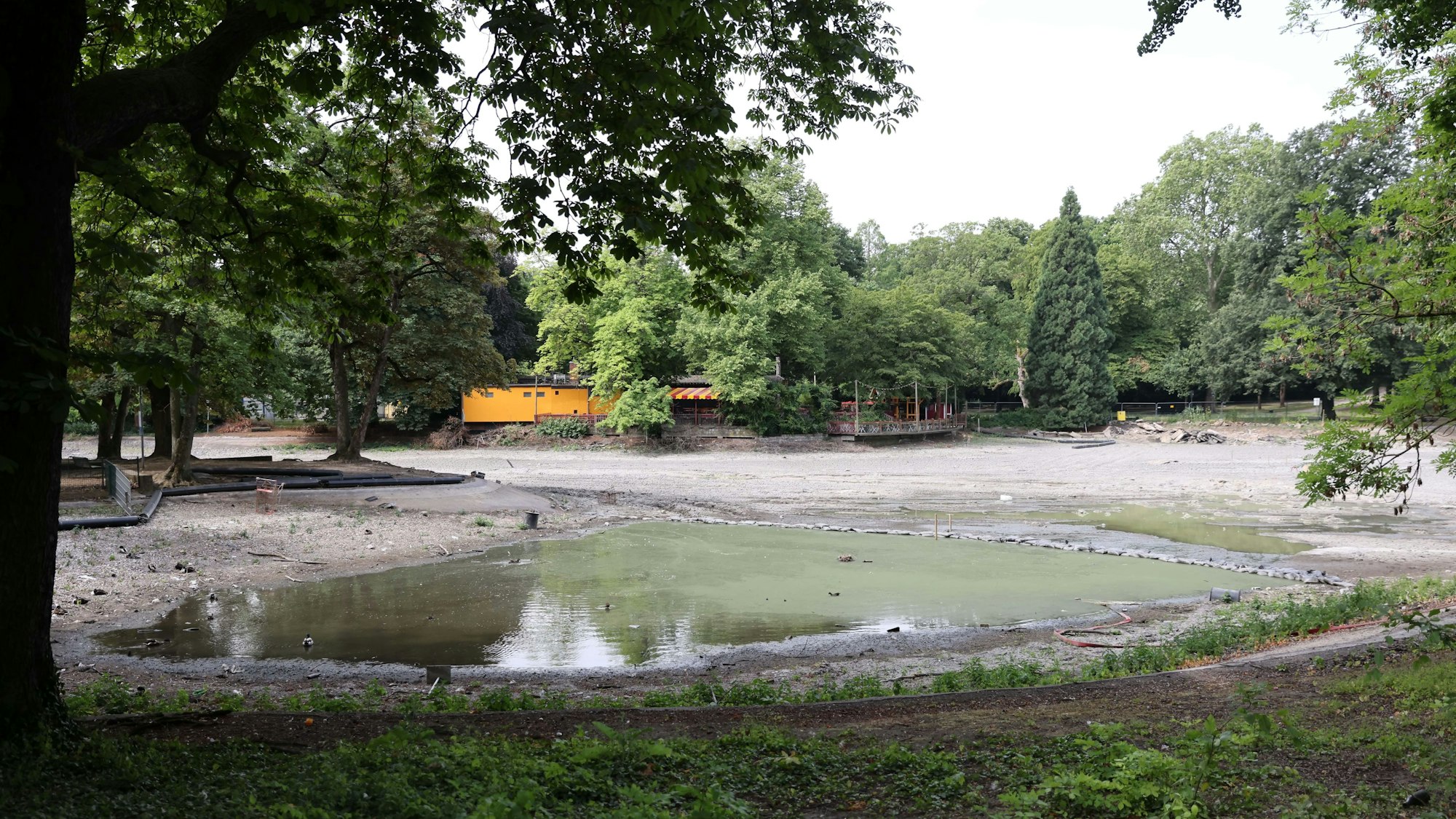 Nur noch ein Restgewässer ist im Weiher verblieben. Die Boote liegen in diesem Sommer auf dem Trockenen.