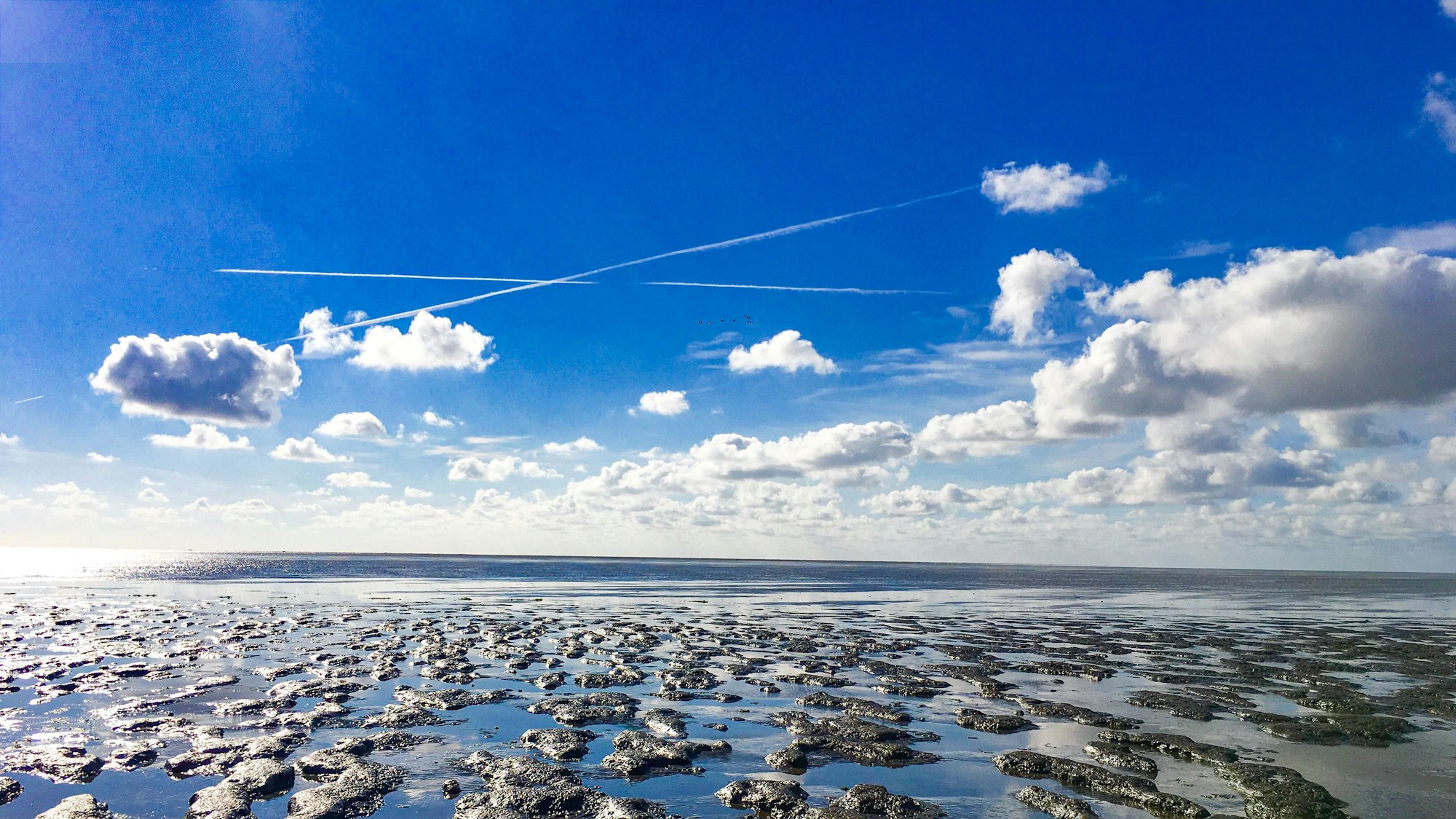 Wattenmeer bei Krummhörn-Greetsiel