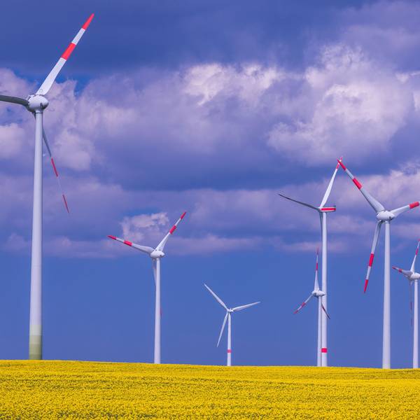 Windkraftanlagen verschiedener Hersteller drehen sich hinter einem blühenden Rapsfeld in einem Windpark. (Symbolbild)