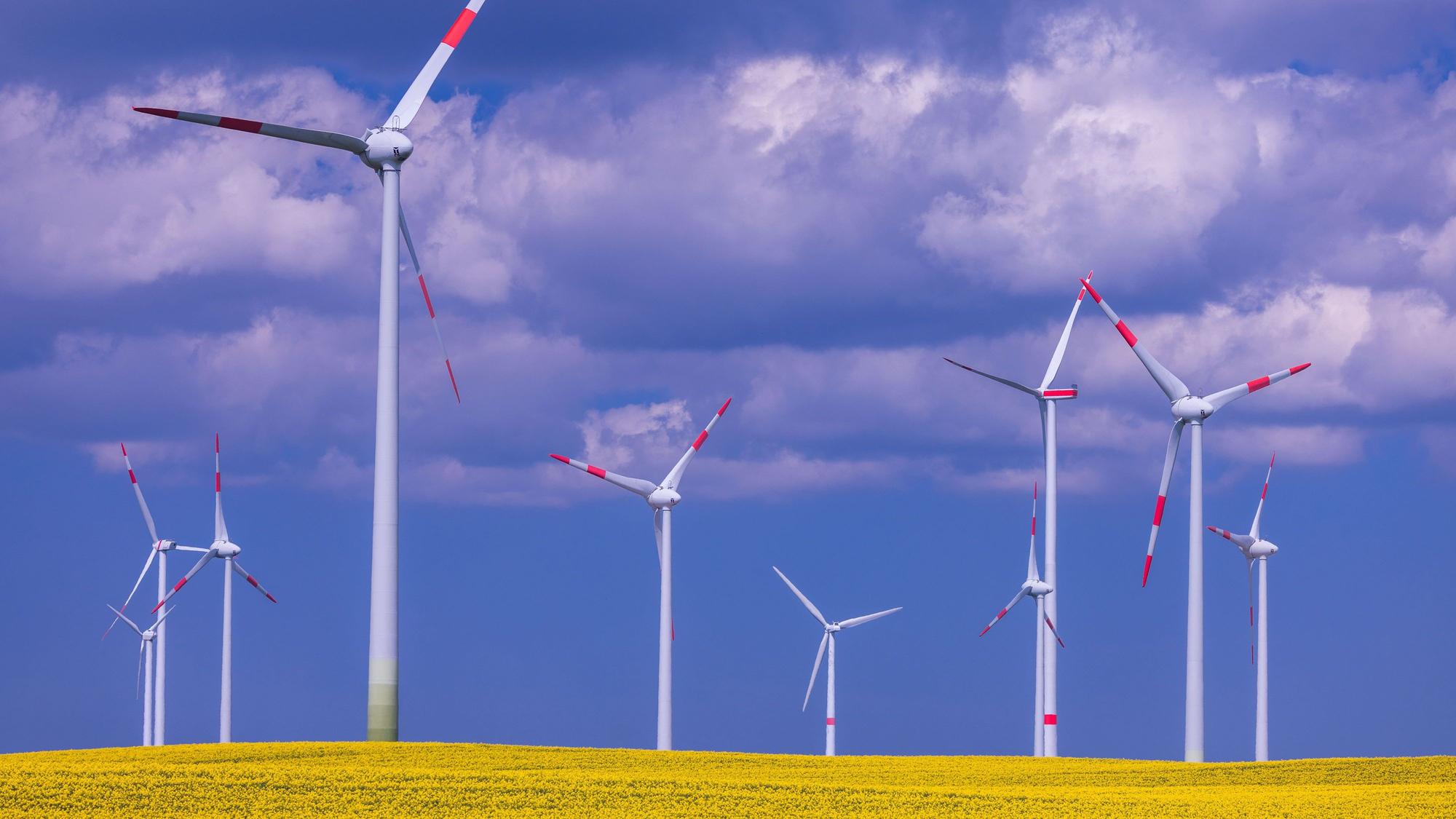 Windkraftanlagen verschiedener Hersteller drehen sich hinter einem blühenden Rapsfeld in einem Windpark. (Symbolbild)