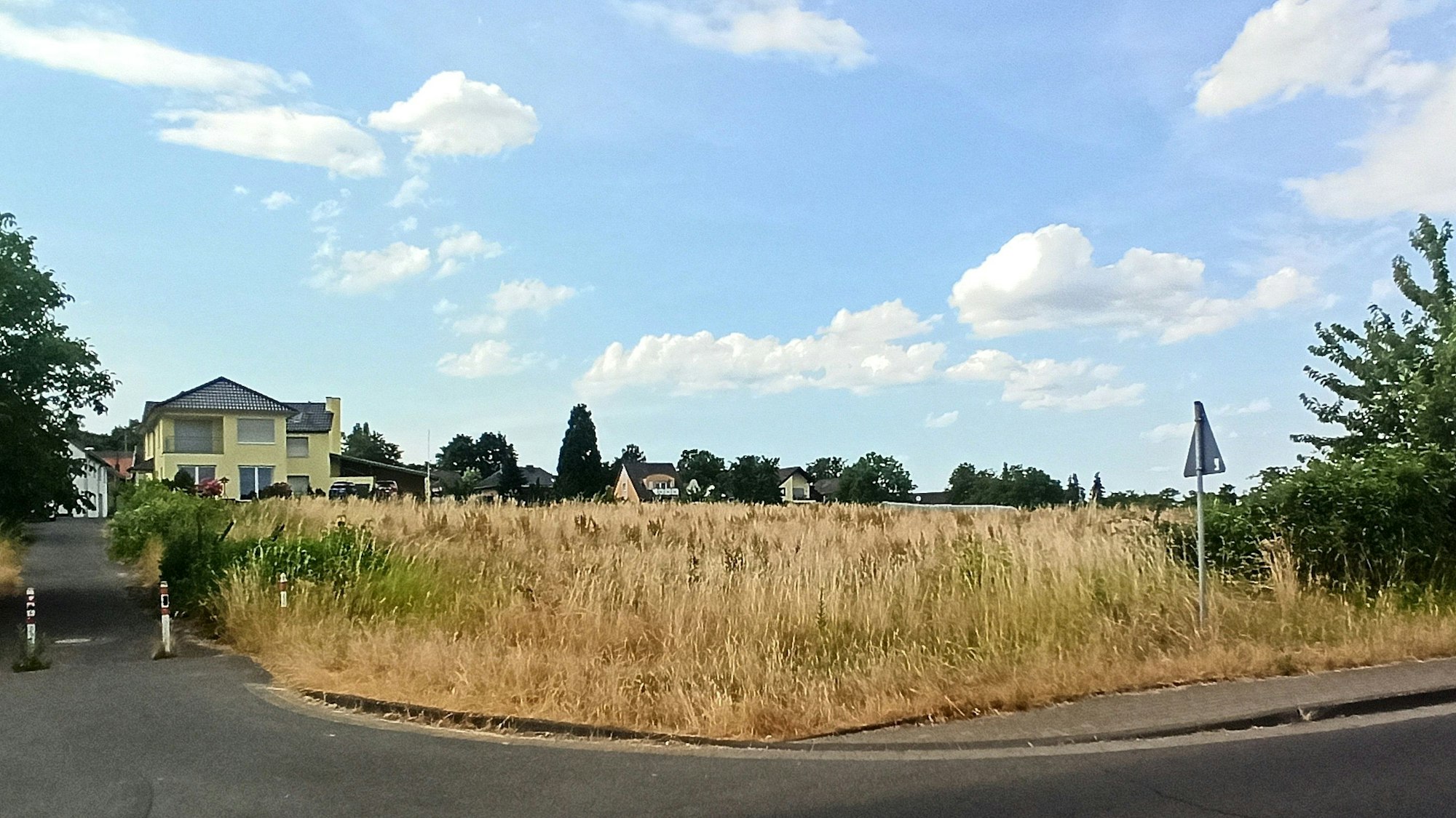 Die Natur hat sich die Grundstücke entlang der Straße "Im Klostergarten" im Alma-Gewerbepark zurückerobert.