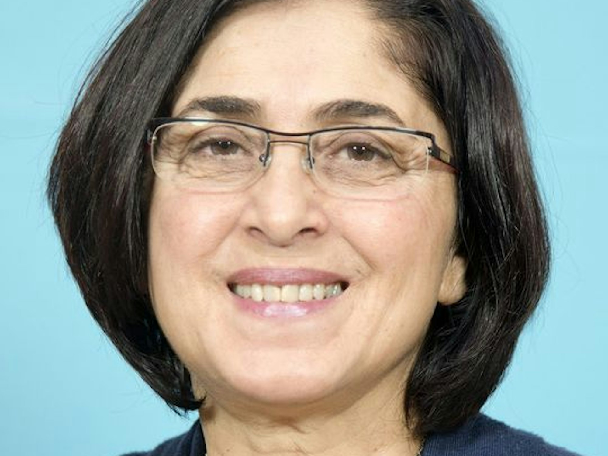 Hamide Akbayir (Die Linke)