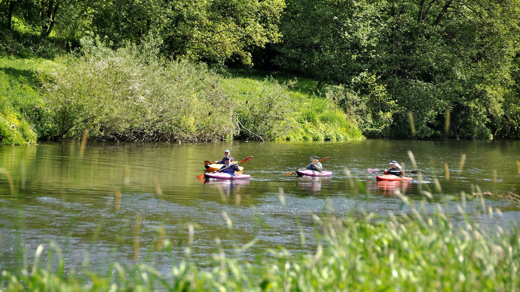 Kanufahrer auf der Sieg
