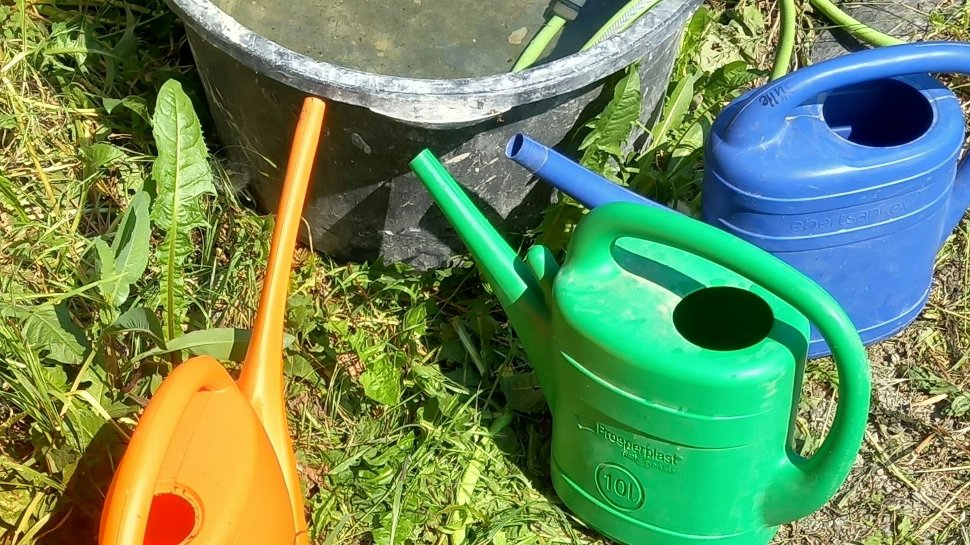 Verschiedenfarbige Gießkannen zum Befüllen mit Regenwasser.