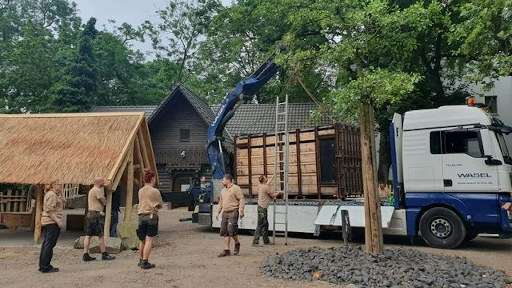 Mit einem Kran wurde die Holzkiste mit dem Nashorn auf einen LKW gehoben.
