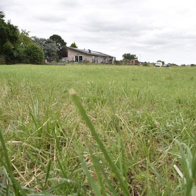 Eine Wiese am Ortsrand von Zülpich-Geich. Im Hintergrund sind ein Haus und mehrere Autos zu sehen.