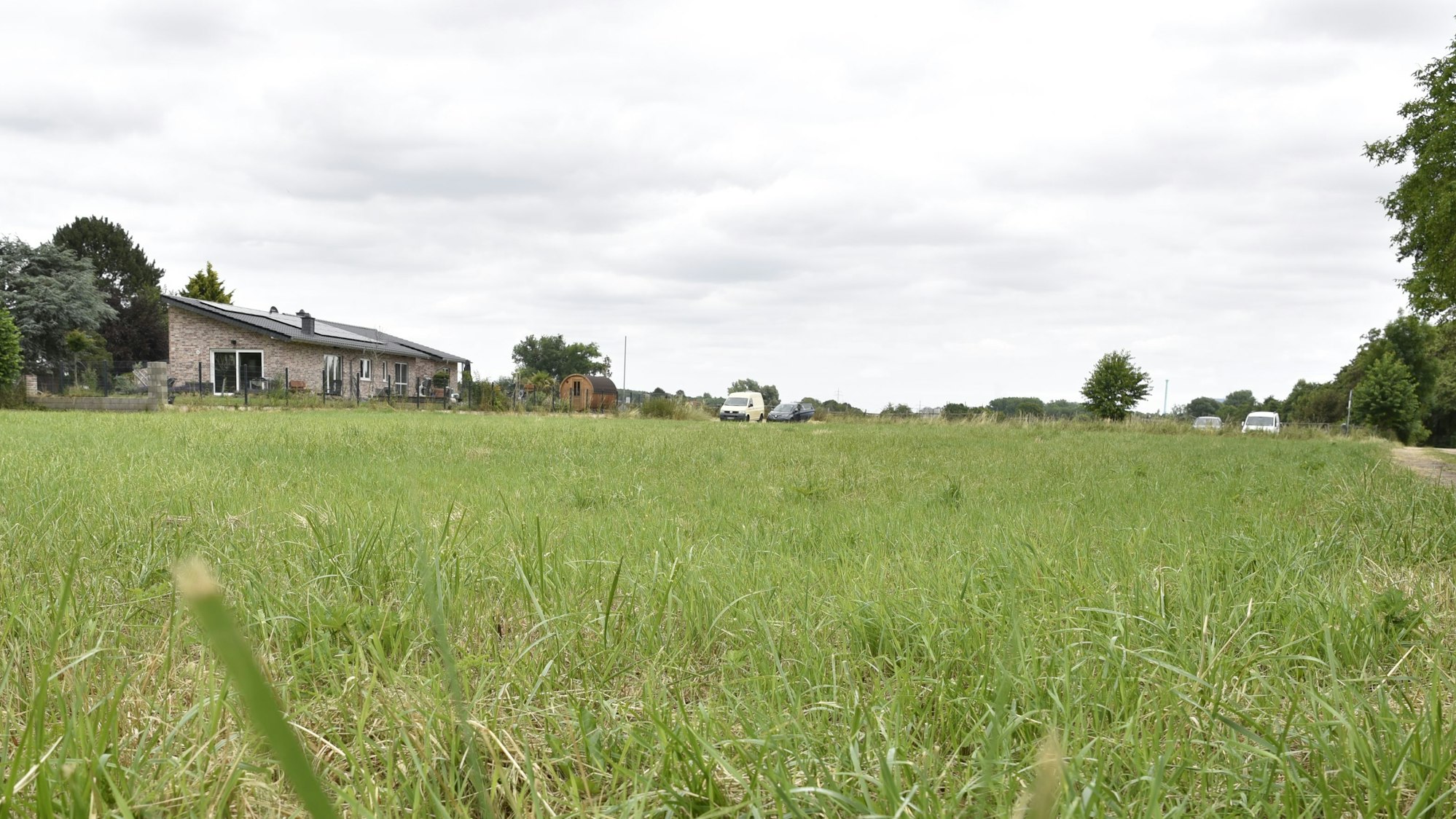 Eine Wiese am Ortsrand von Zülpich-Geich. Im Hintergrund sind ein Haus und mehrere Autos zu sehen.