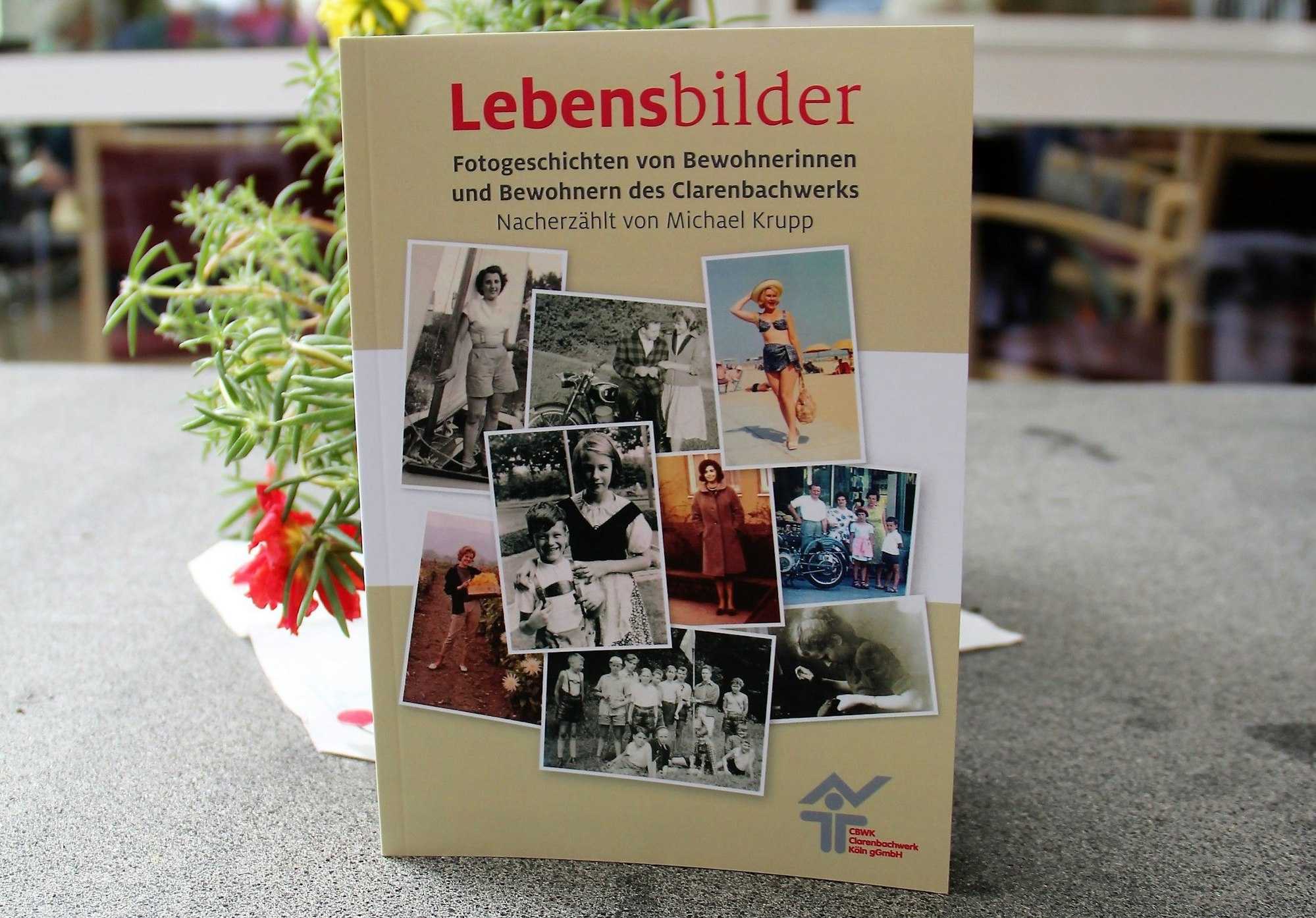 Das Buch Lebensbilder ist zu sehen.