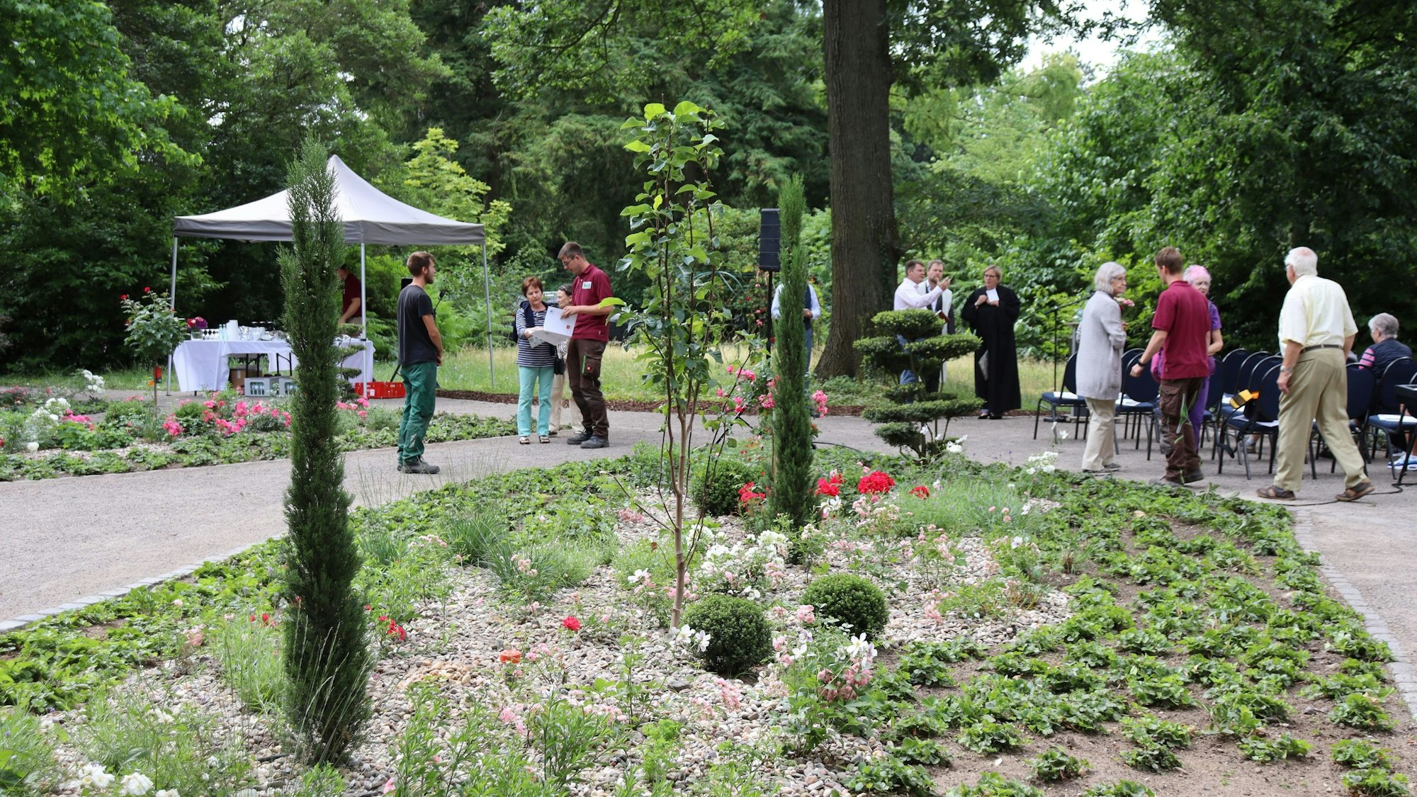 Ein großes Beet mit Stauden, grünen Gewächsen und Bäumen ist zu sehen.