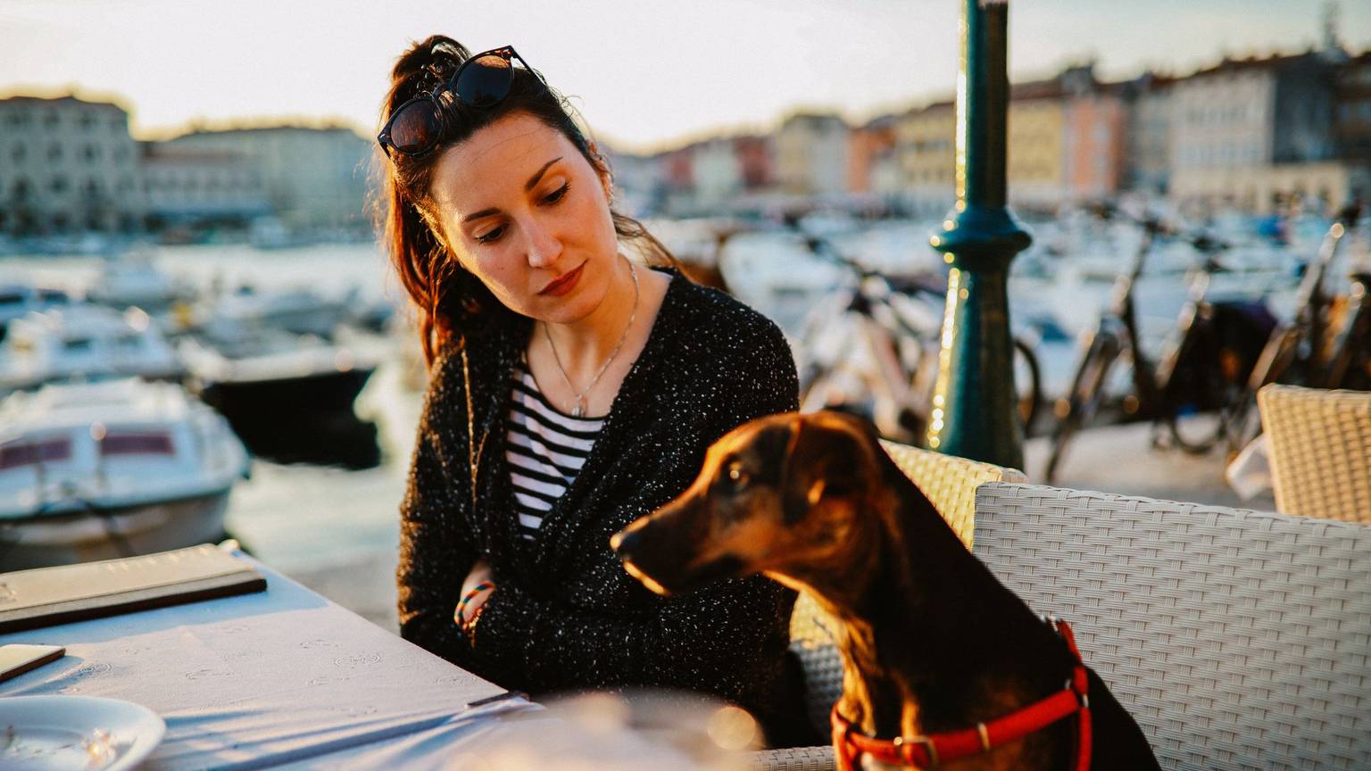 Hund sitzt am Tisch im Restaurant