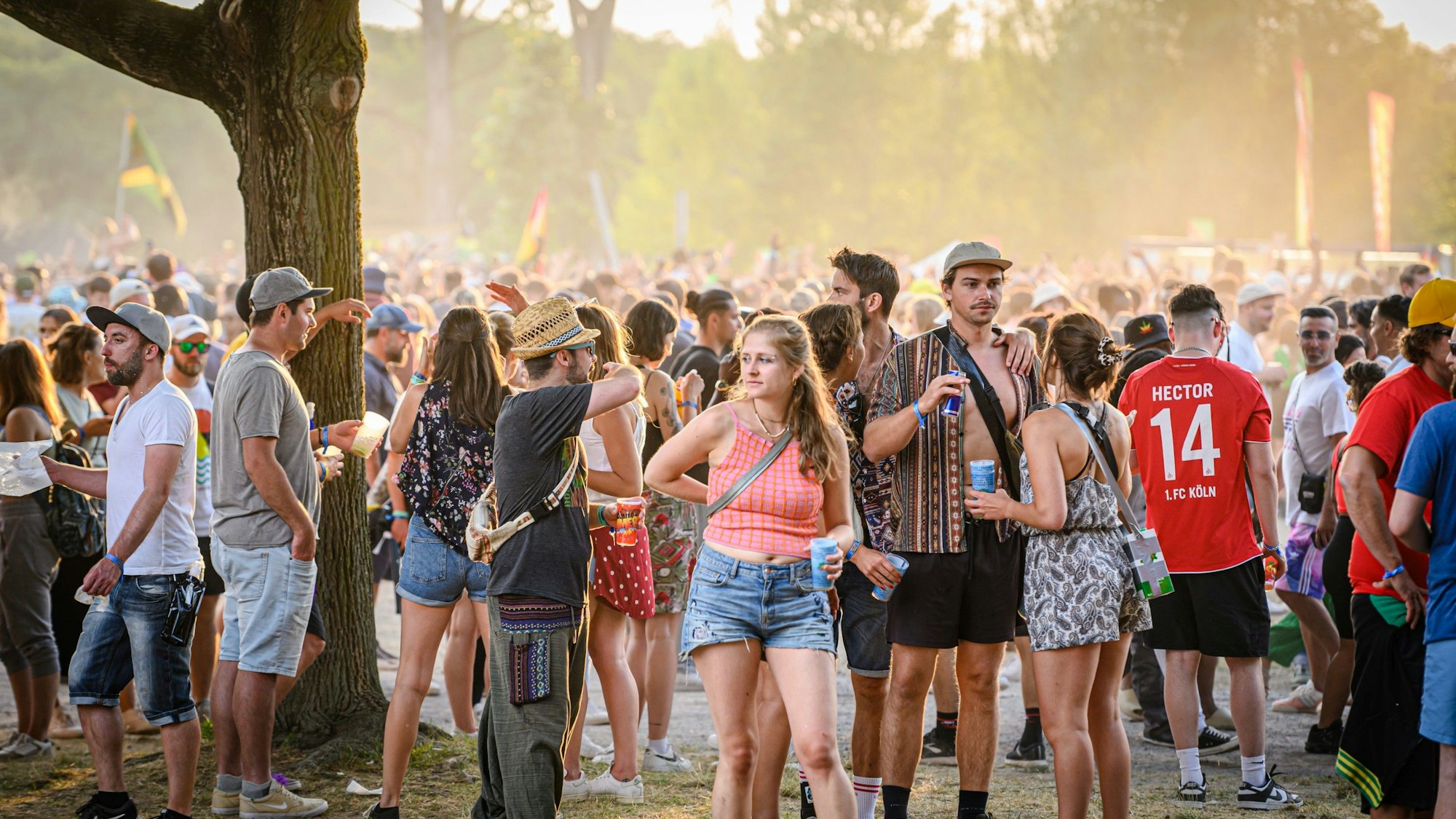 In den frühen Abendstunden herrscht ein wunderschönes Licht.