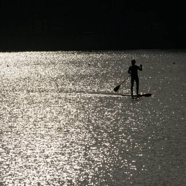 Zwei Männer fahren mit Stand-Up-Paddle-Board auf einem See. Die Sonne scheint auf die Wasseroberfläche.