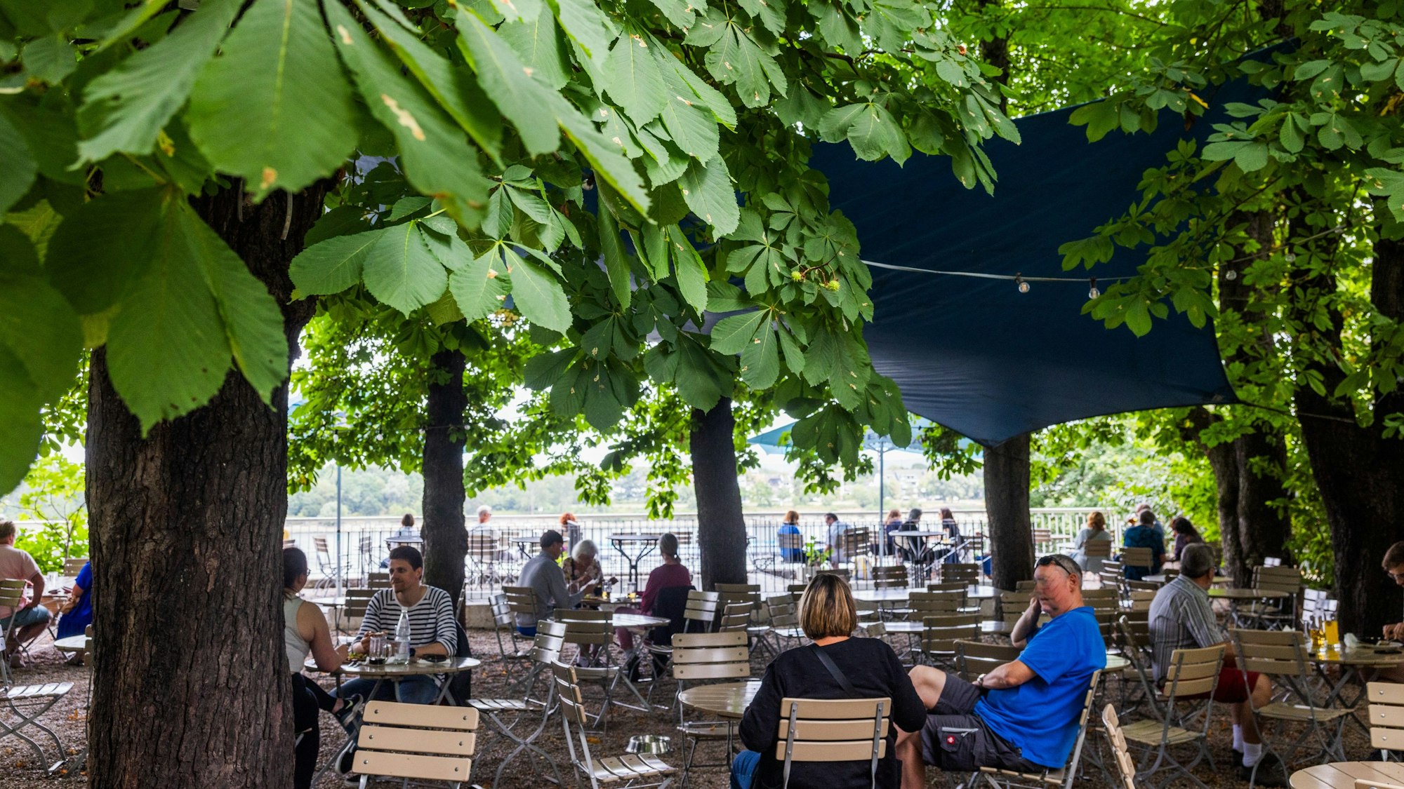 Biergarten Schänzchen in Bonn
mbo