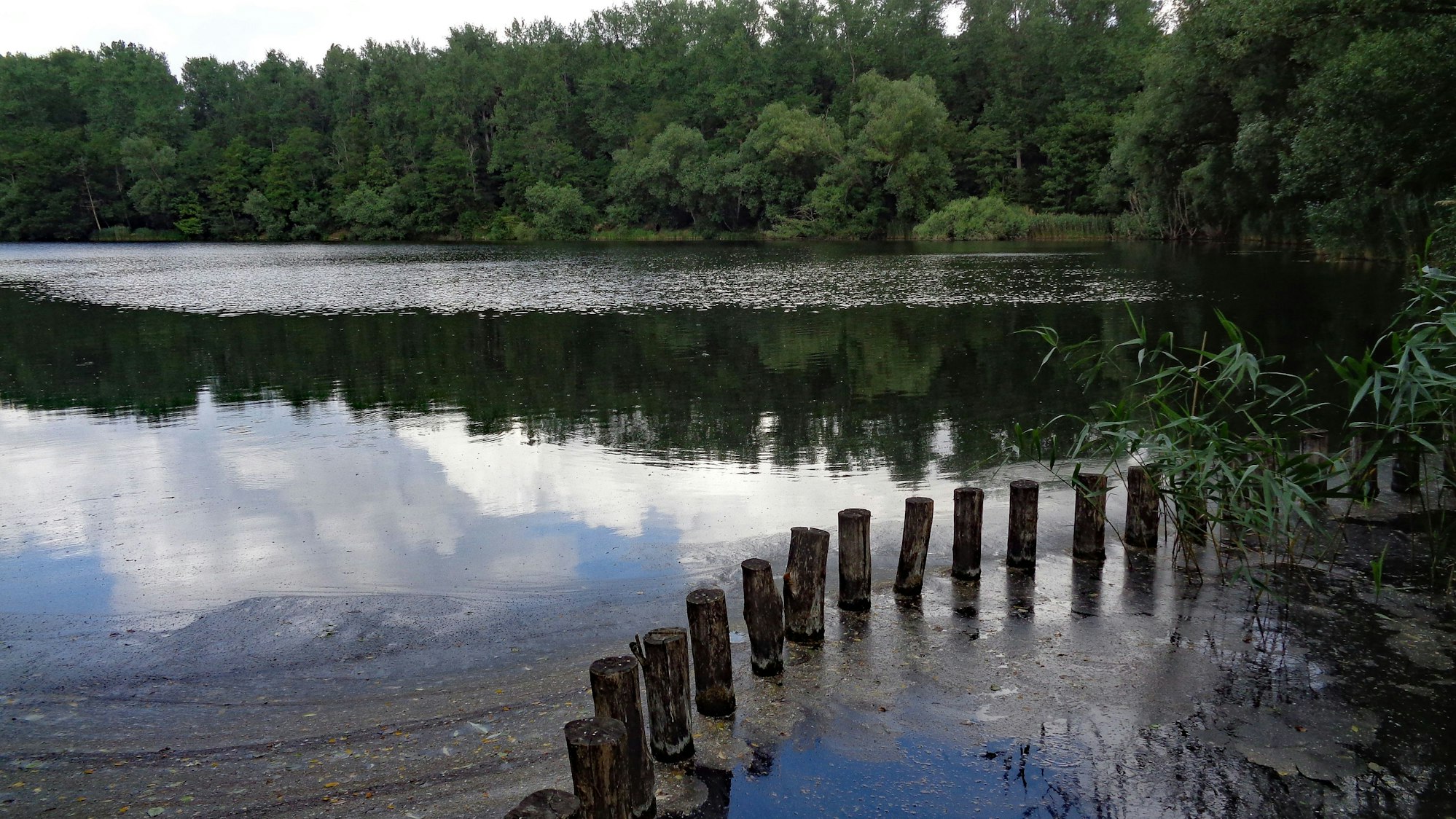 Der Gotteshülfeteich.