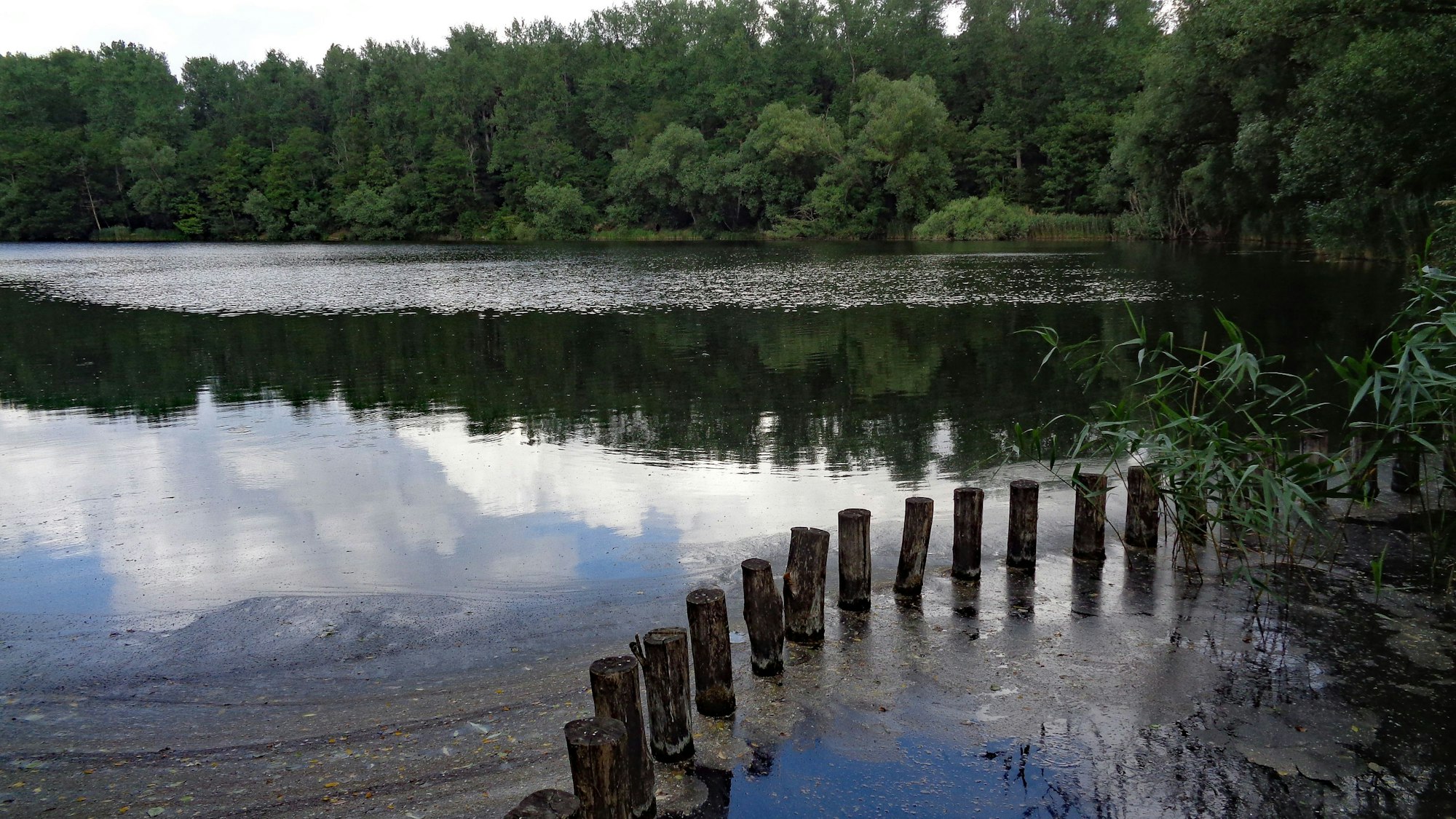 Der Gotteshülfeteich.