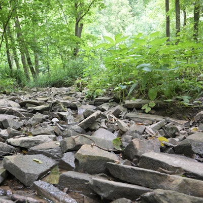 Der Hombach ist fast ausgetrocknet.