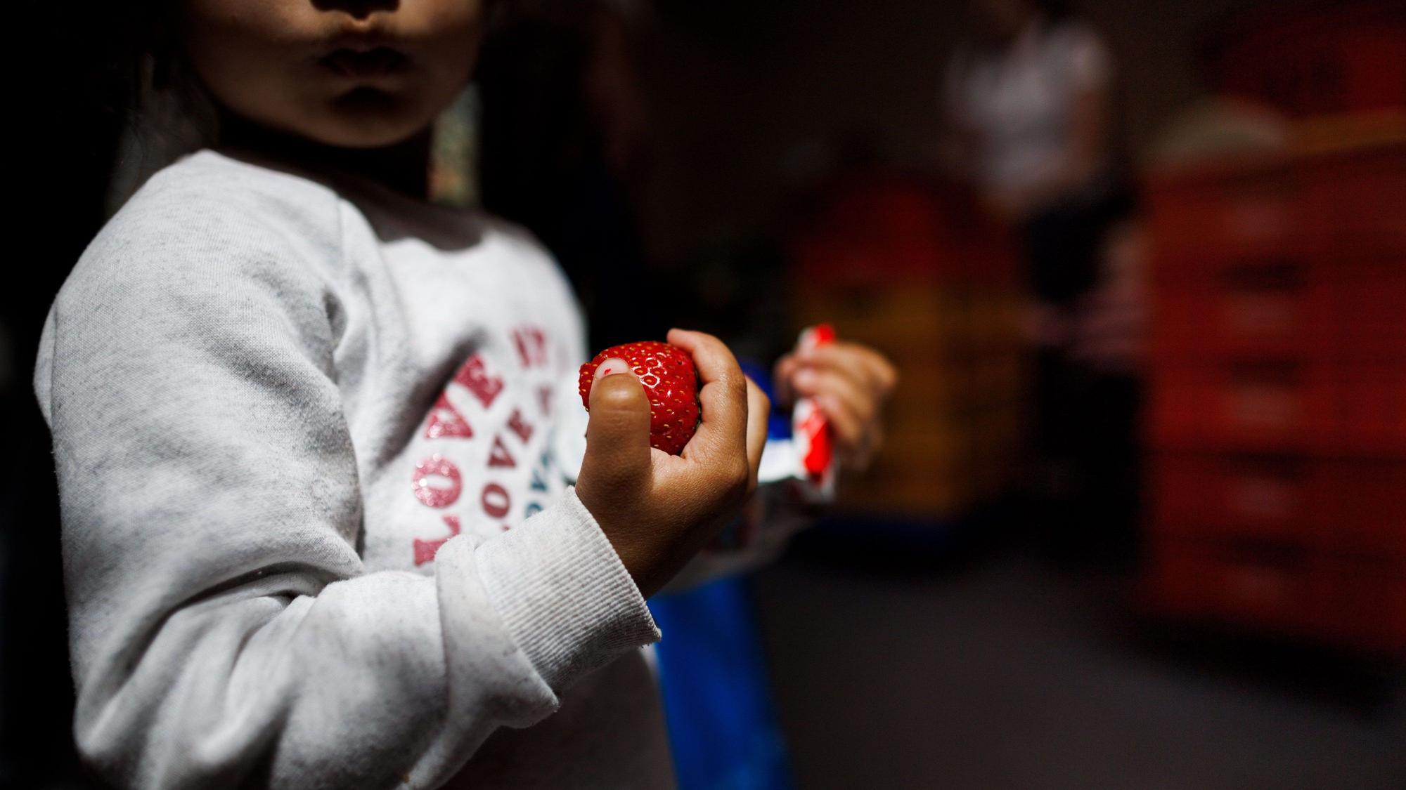 Für mehr Chancengleichheit soll die Kindergrundsicherung sorgen.