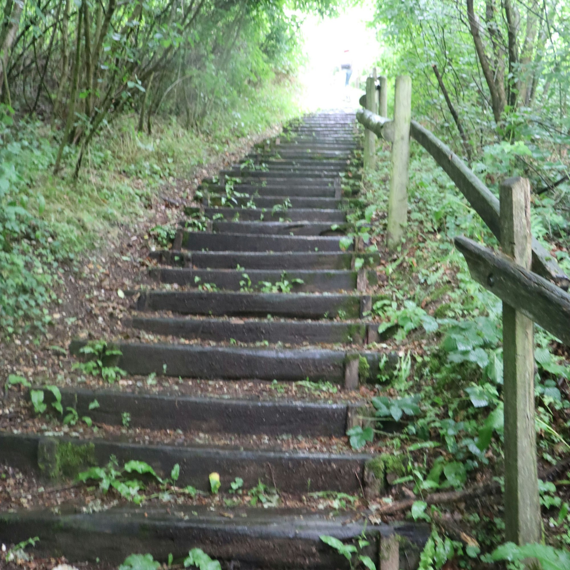 Die Himmelsleiter - über 200 Stufen bergan.