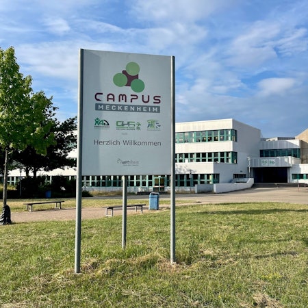 Meckenheimer Schulcampus mit Blick auf das Konrad-Adenauer-Gymnasium