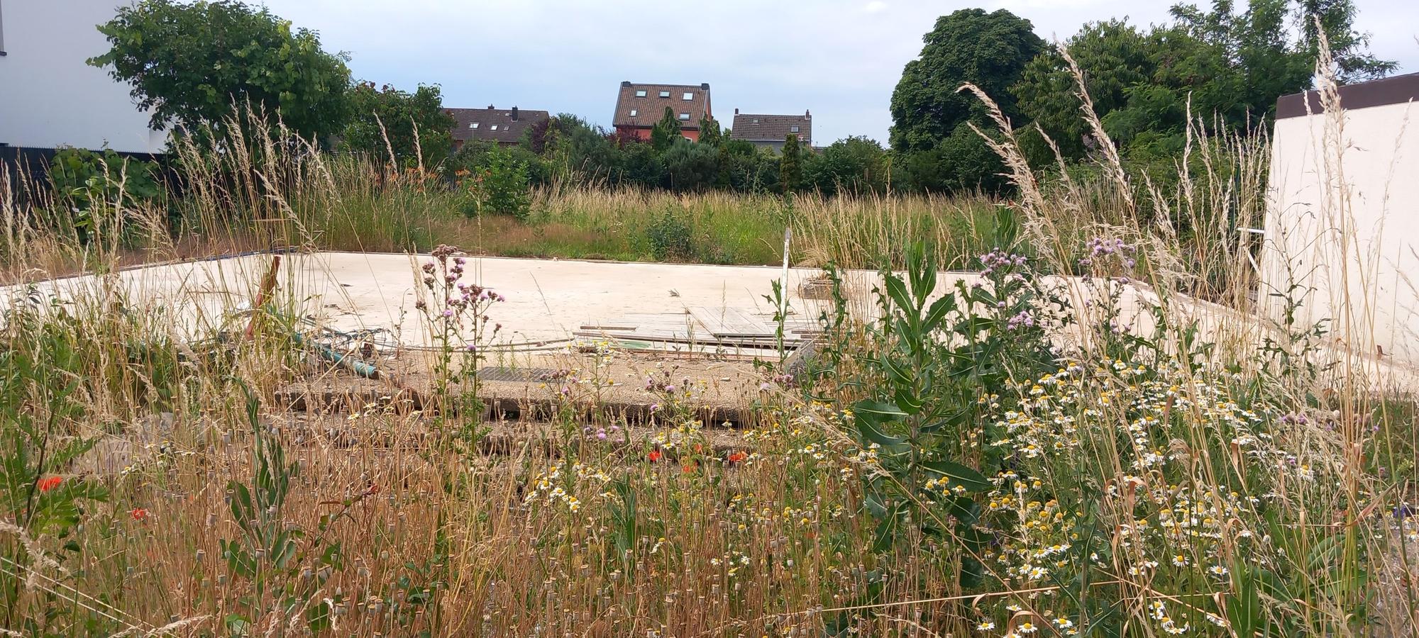 29.06.2023 Swisttal-Heimerzheim: Rundgang knapp zwei Jahre nach der Flut. Abriss bis auf die Bodenplatte