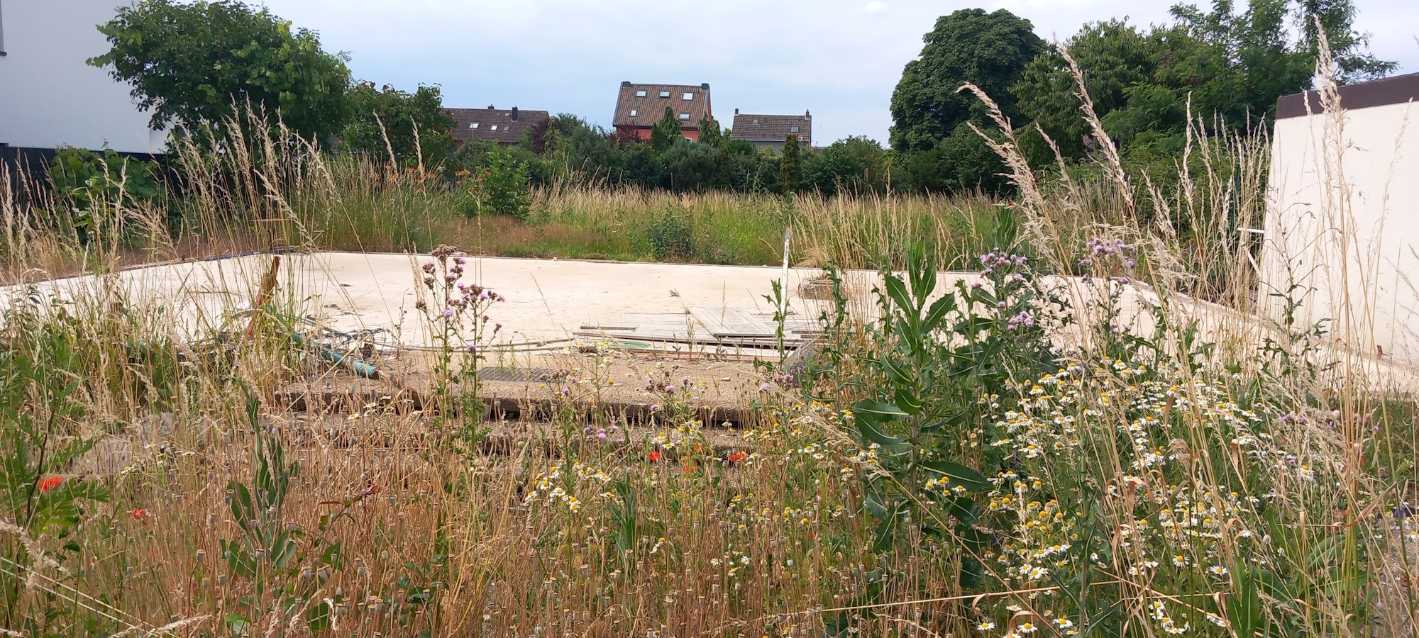 29.06.2023 Swisttal-Heimerzheim: Rundgang knapp zwei Jahre nach der Flut. Abriss bis auf die Bodenplatte