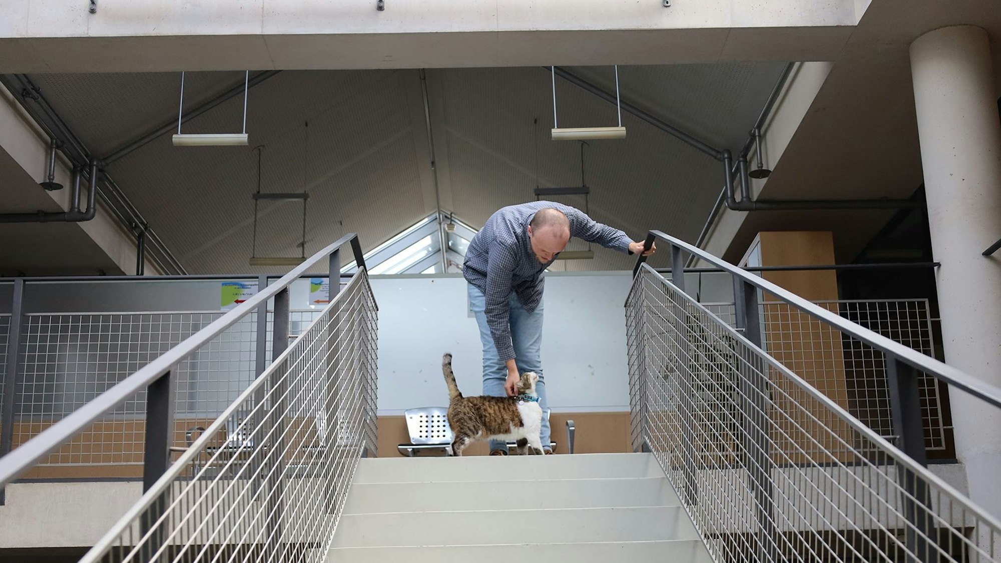 Ein Mann streichelt eine Katze. Er hält sich mit einer Hand am Treppengeländer fest.