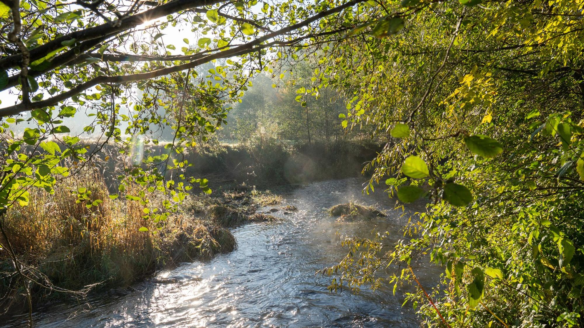 Der Fluss Wupper bei Hückeswagen.