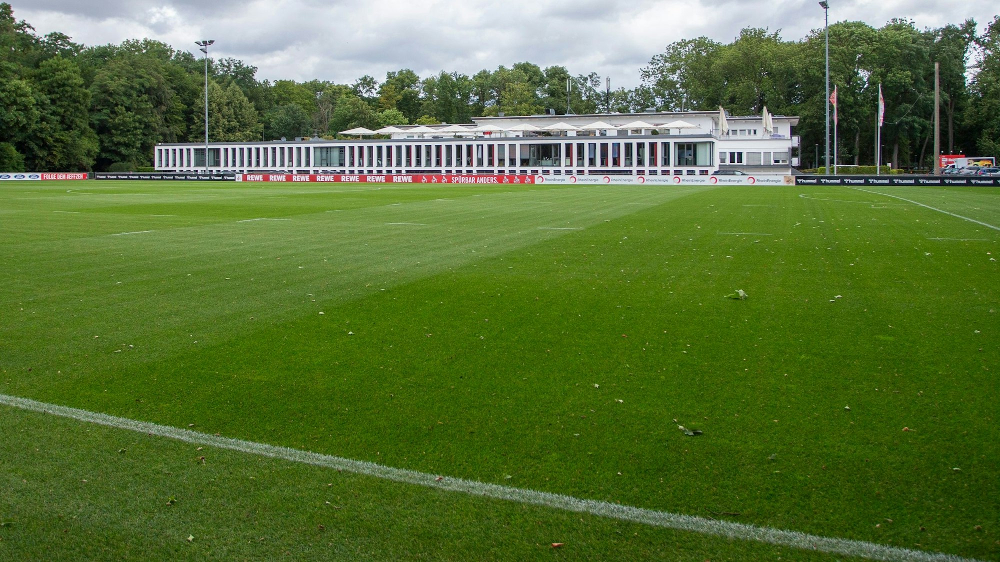 Der Naturrasenplatz für das Training der Bundesliga-Profis am Geißbockheim.