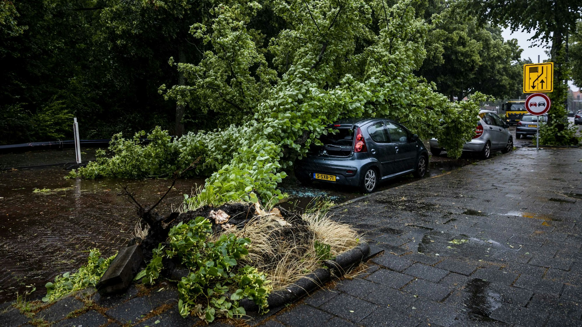 Sturm „Poly“ in den Niederlanden: Ein Baum ist umgestürzt auf ein Auto in Haarlem. Bei einem Baumsturz kam eine 51-Jährige ums Leben, es ist nicht gesichert, ob das Foto den tödlichen Vorfall zeigt.