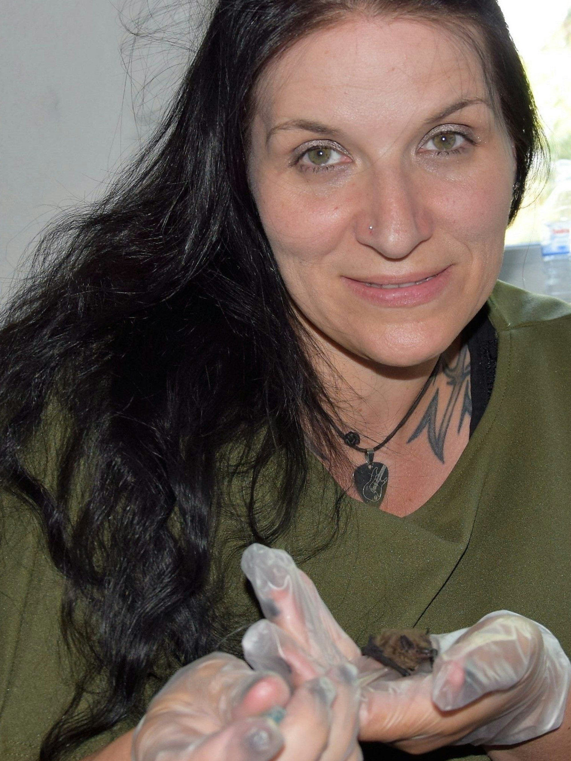 Wenige Tage alte Fledermaus in den Händen von Saskia Groen