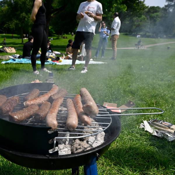 In einem Park hat eine Gruppe Menschen einen kleinen Grill aufgebaut, darauf liegt Grillgut.