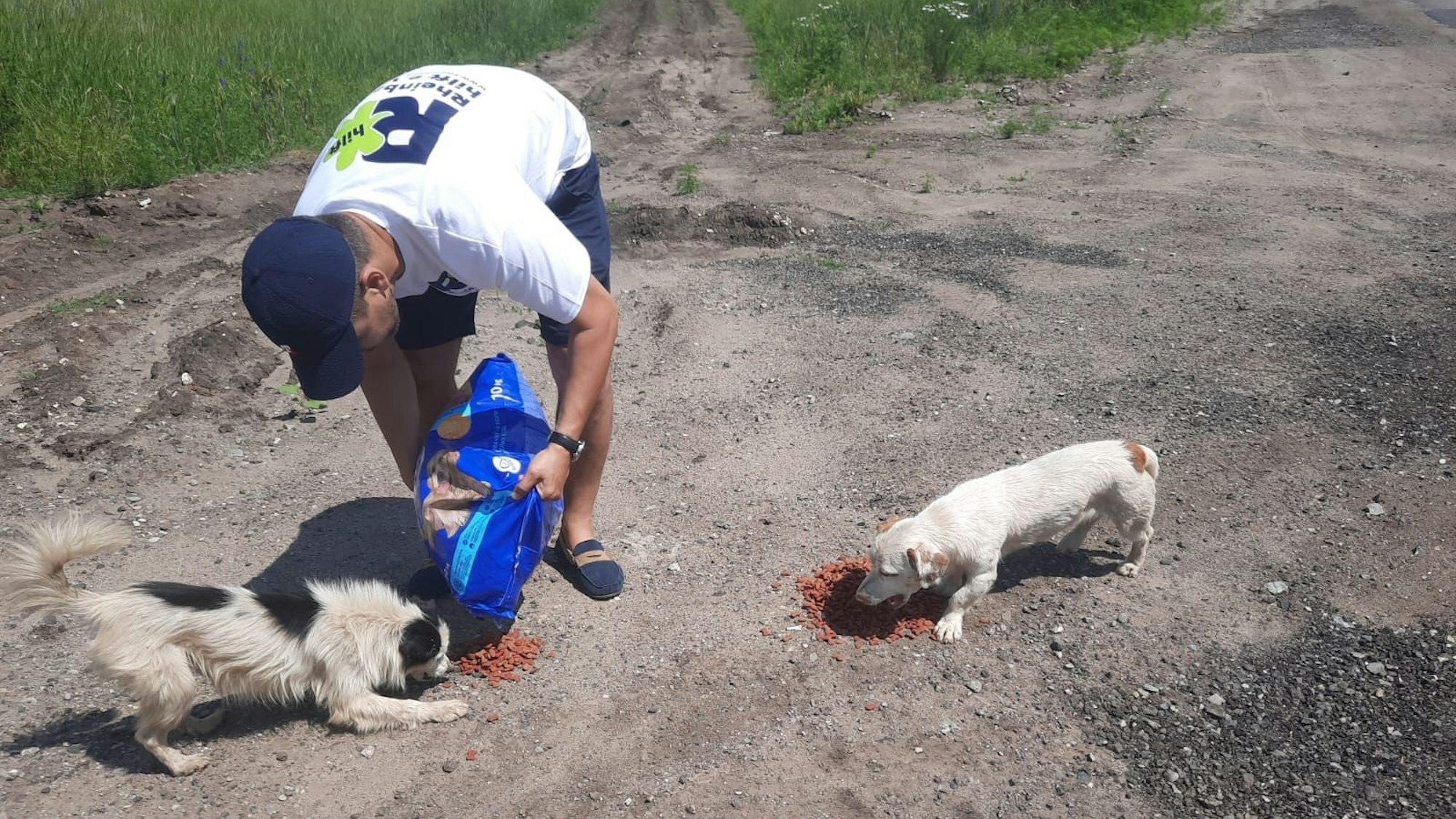 Juni 202 Alfred Eich und Andreas Klassen von "Rheinbach hilft" in der Ukraine bei der achten Fahrt. Eich füttert wegen einer Spende von einer Frau, die in einem Bonner Tierheim arbeitet, in der Ukraine Straßenhunde.