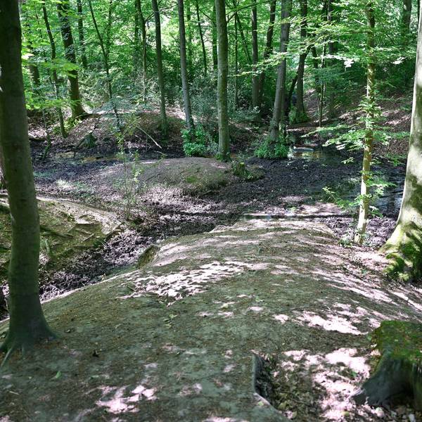 Die Suche nach wertvollen Rohstoffen hinterließ viele Narben im Boden des Bensberger Waldes.