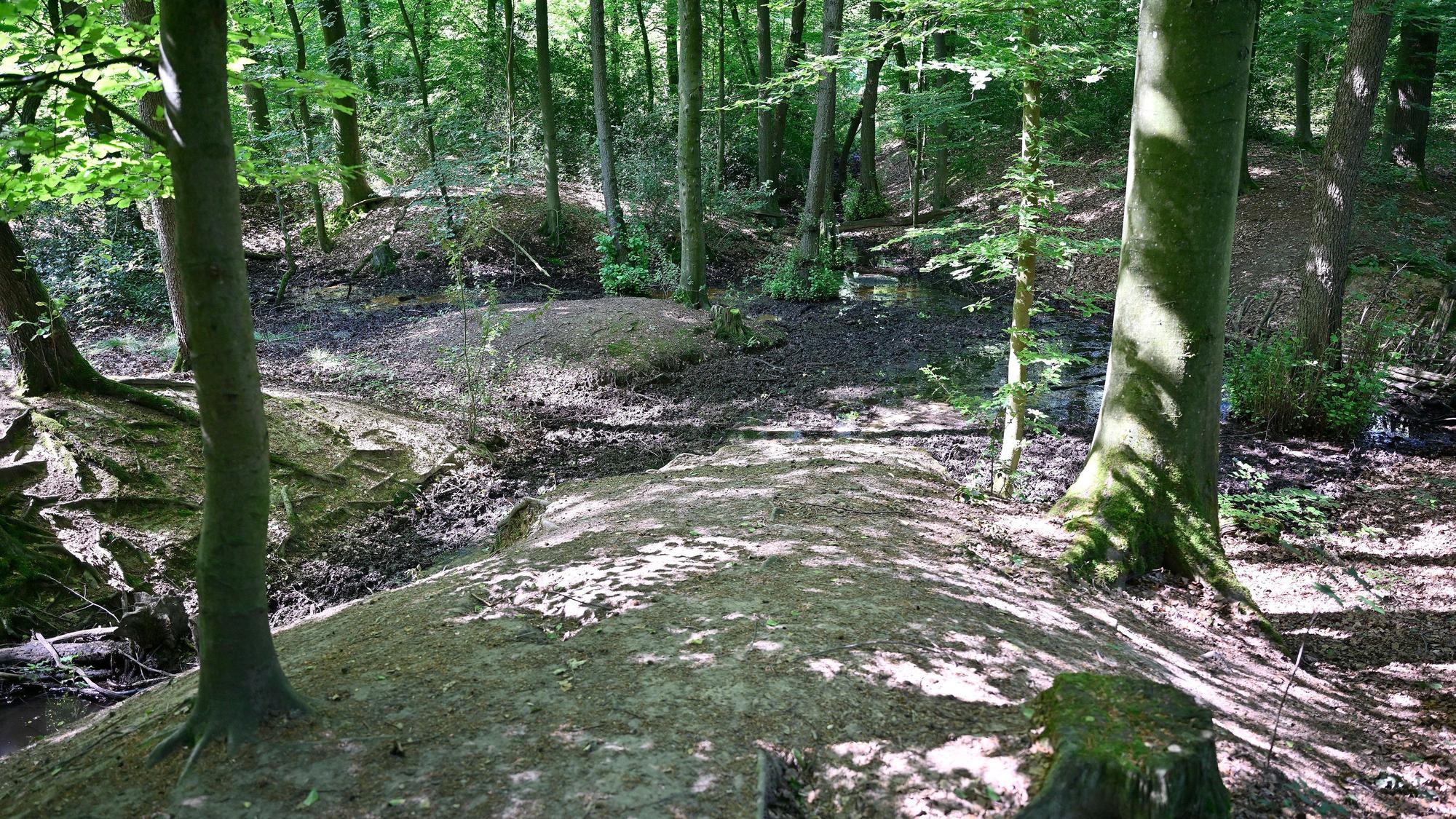 Die Suche nach wertvollen Rohstoffen hinterließ viele Narben im Boden des Bensberger Waldes.
