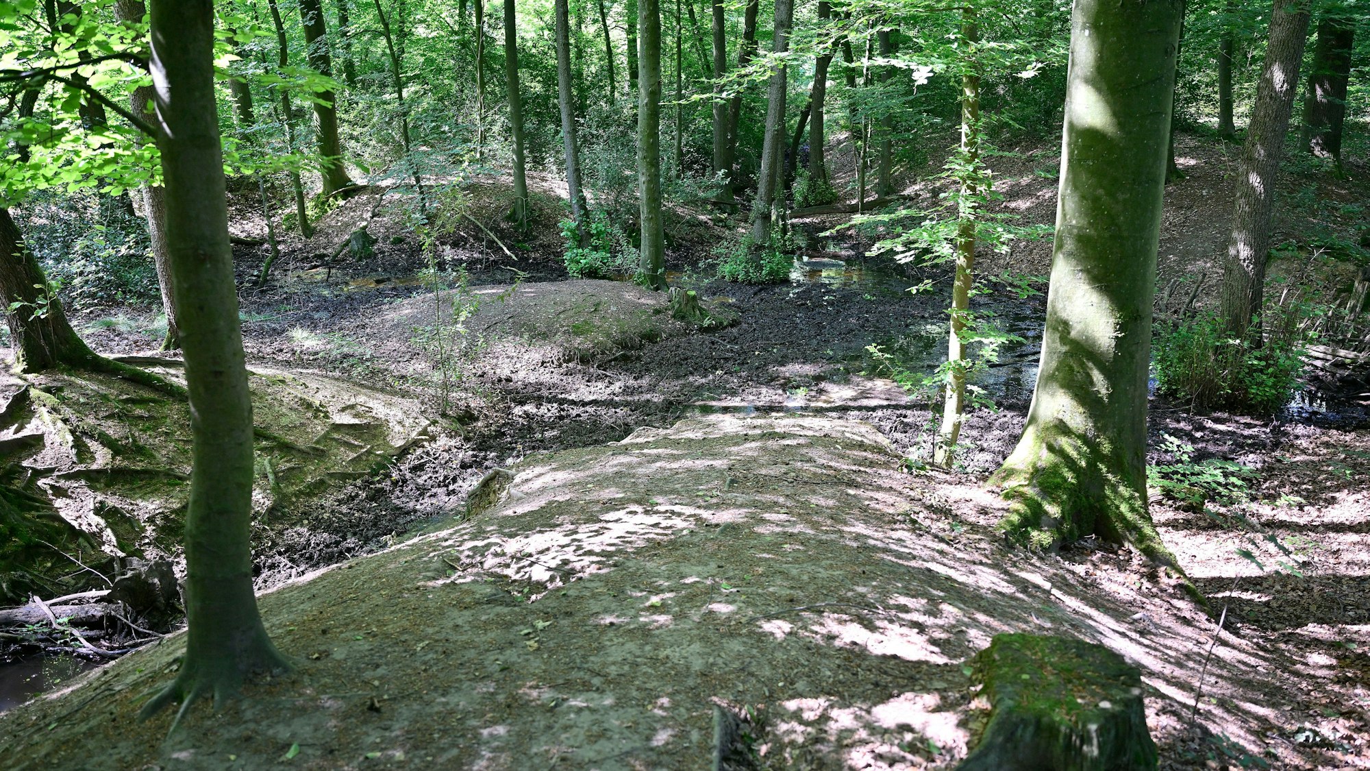 Die Suche nach wertvollen Rohstoffen hinterließ viele Narben im Boden des Bensberger Waldes.