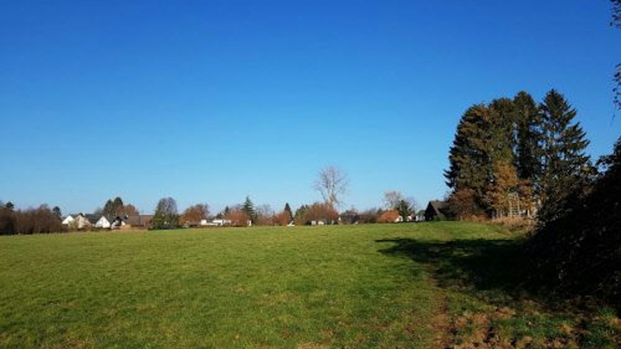 Die Altvolberger Wiese ist bisher eine Freifläche, es ist dort aber ein Neubaugebiet geplant
