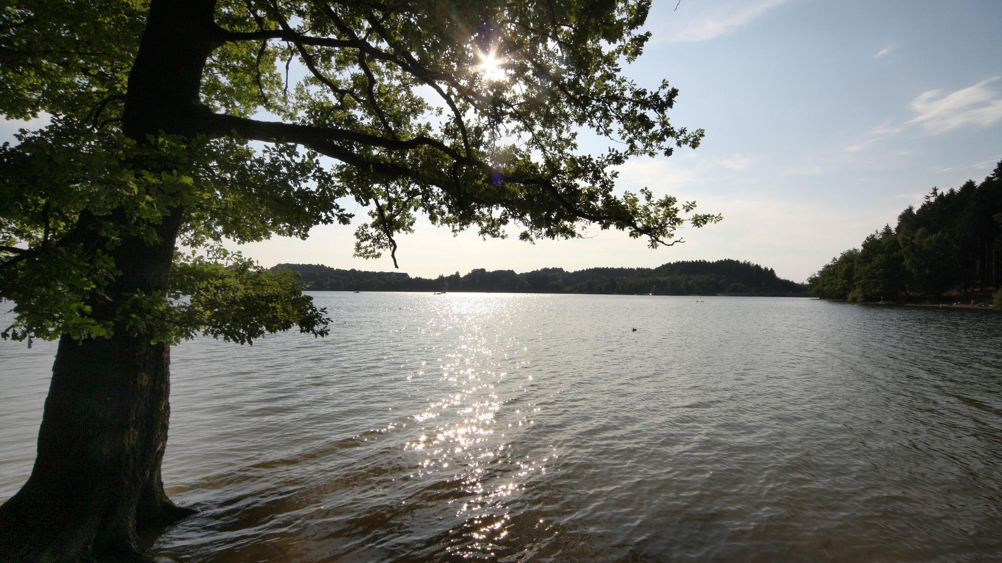 Blick gegen die Nachmittagssonne über die Brucher Talsperre bei Marienheide.