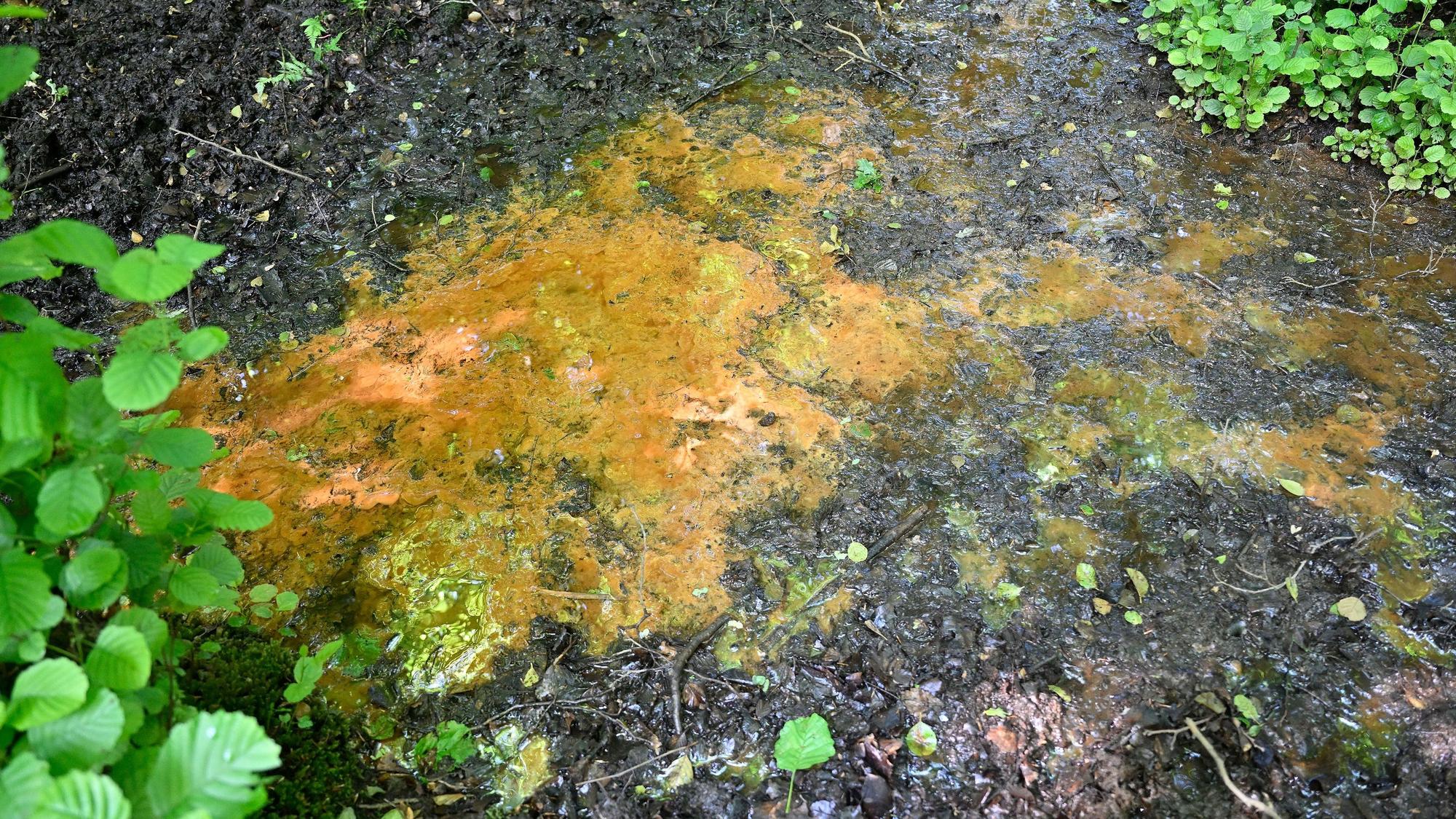Oxidiertes Eisenerz verfärbt das Wasser.