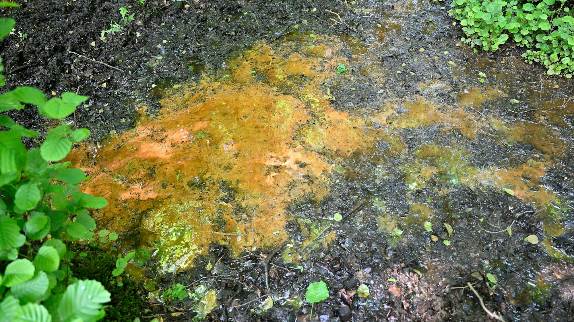 Oxidiertes Eisenerz verfärbt das Wasser.