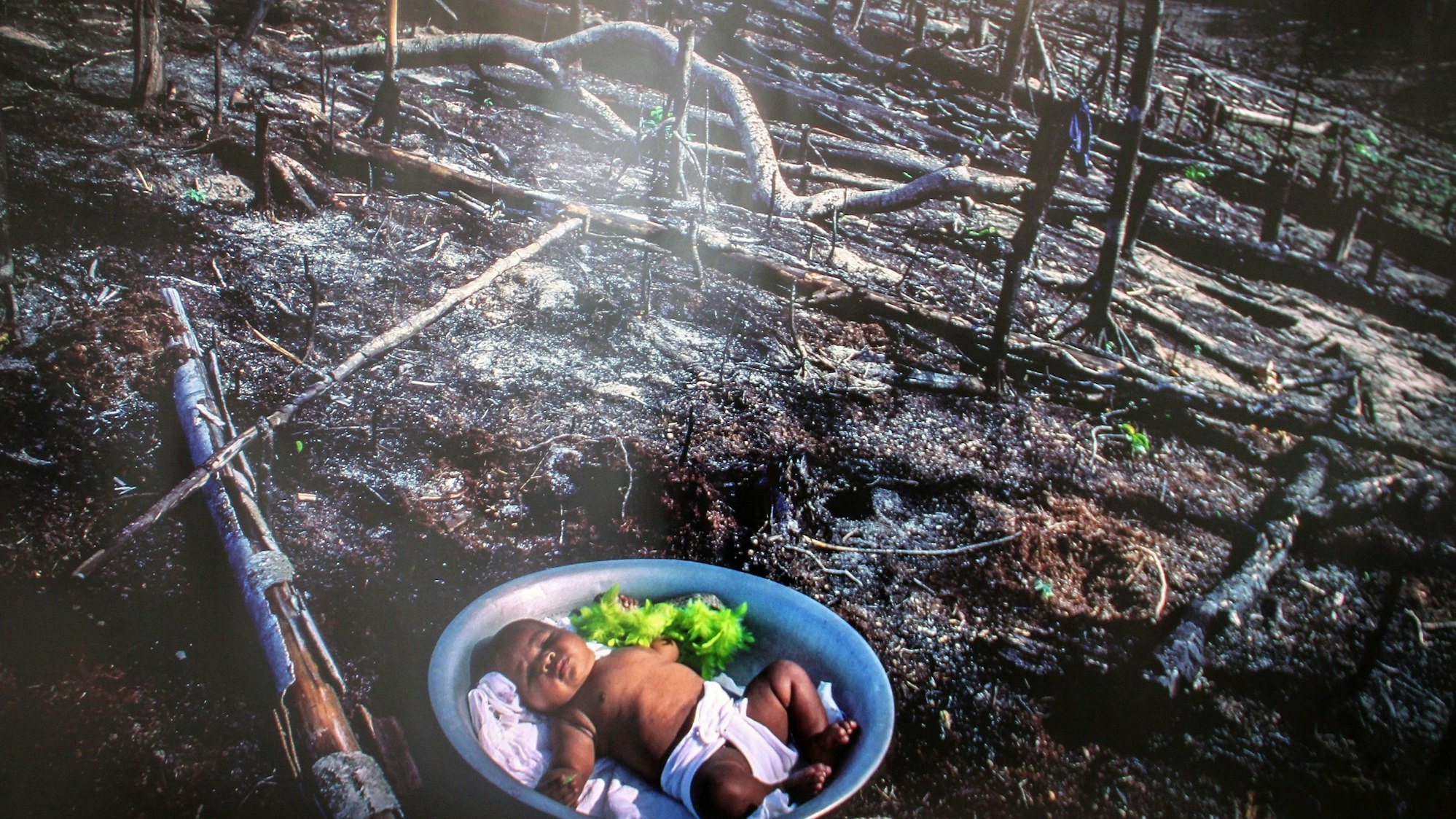 Ein dunkelhäutiges Baby schläft in einer Schale, in der auch Gemüse liegt. Um das Kind herum ist ein frisch brandgerodeter Wald zu sehen.