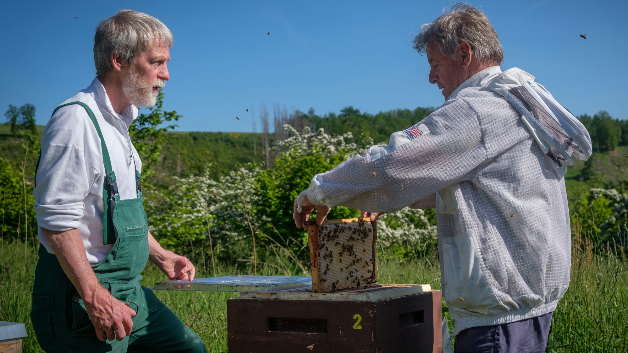 Die Imer Dirk Maiwald und Rainer Gartmann an einem Binenstock.