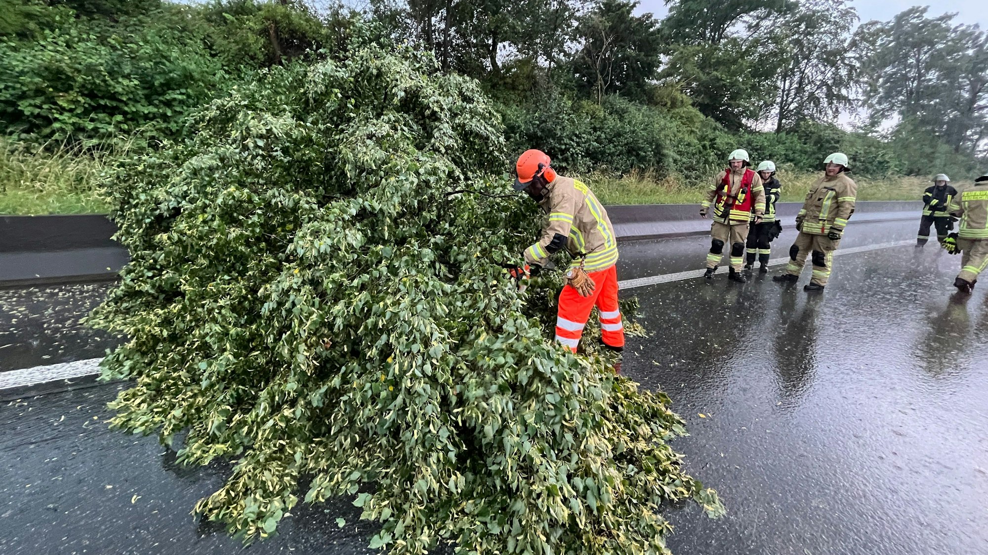 Auf der A1 war im Gewittersturm am Sonntag ein Baum umgeknickt.