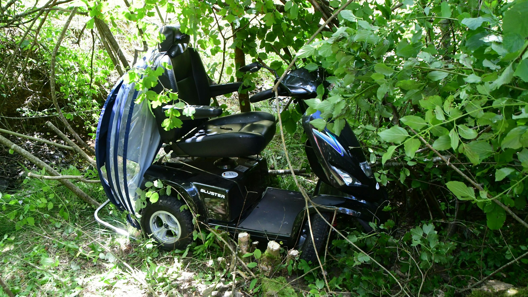 Das Bild zeigt einen Elektro-Scooter, der bei einem Unfall in dichtem Gestrüpp gelandet ist.